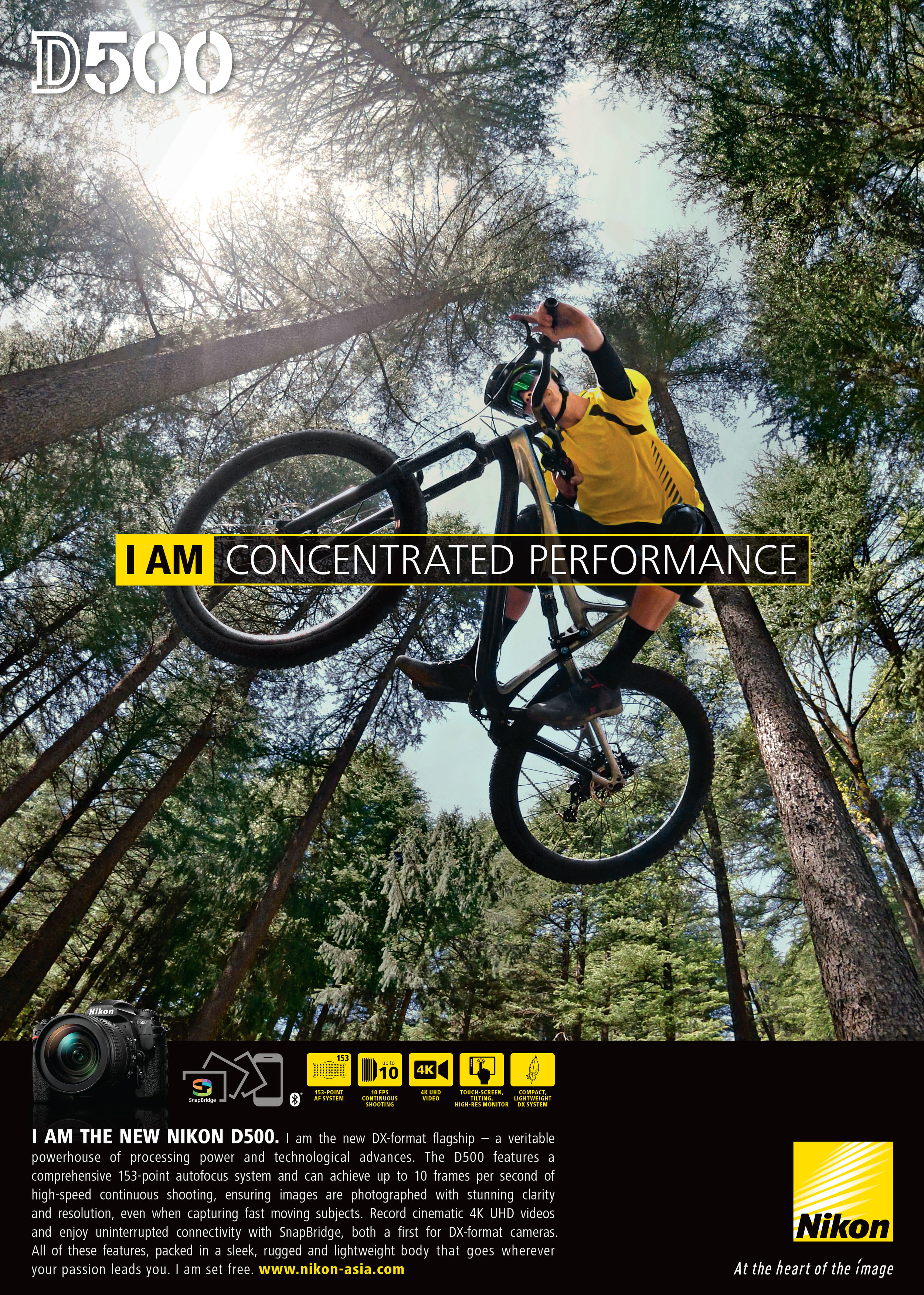 main kv for nikon.jpg