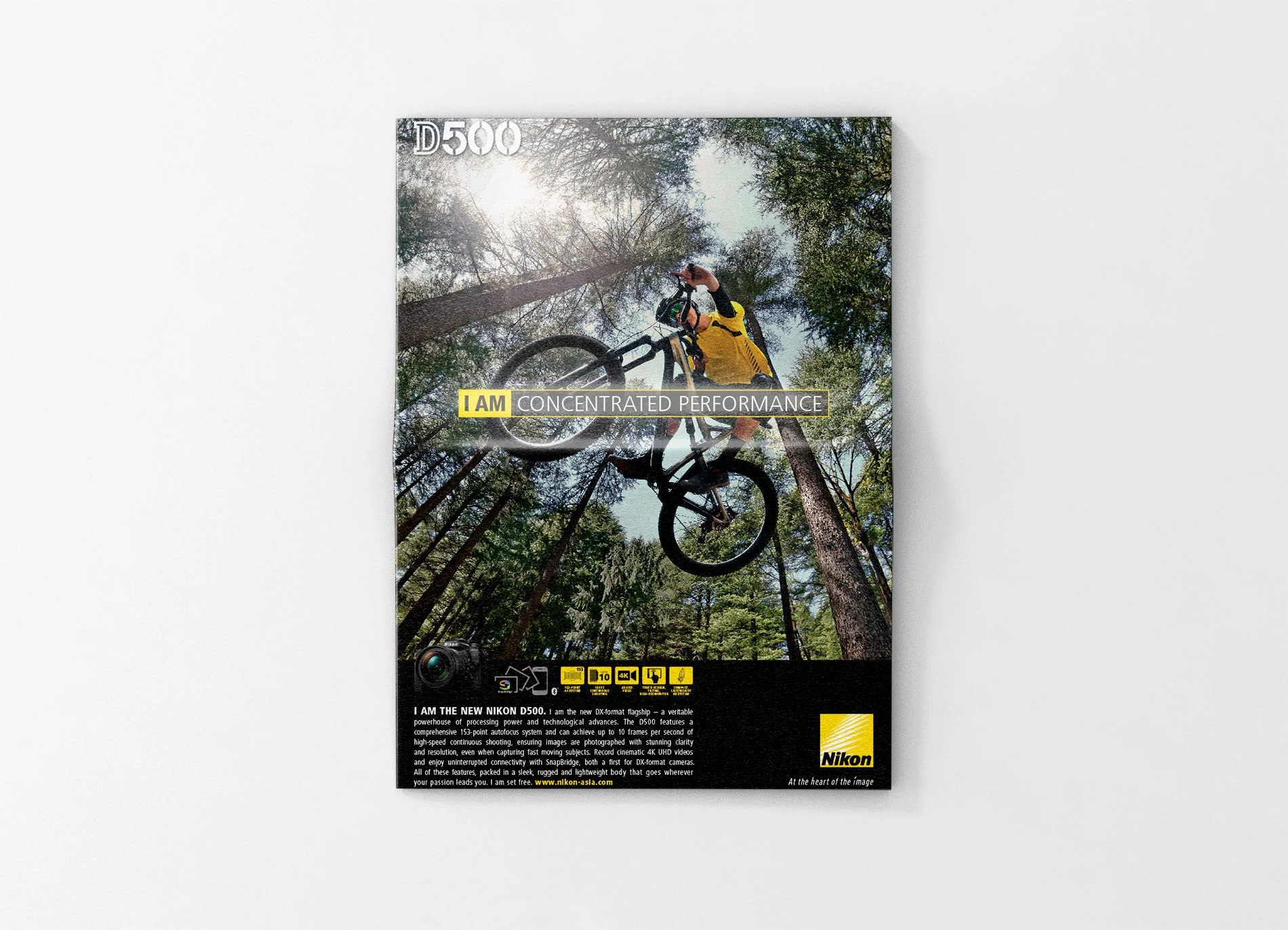 newspaper mock up.jpg