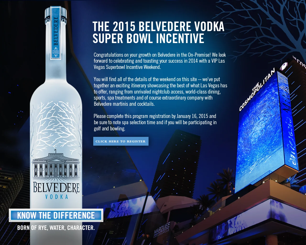 Incentive Micrositev2 page 1.jpg