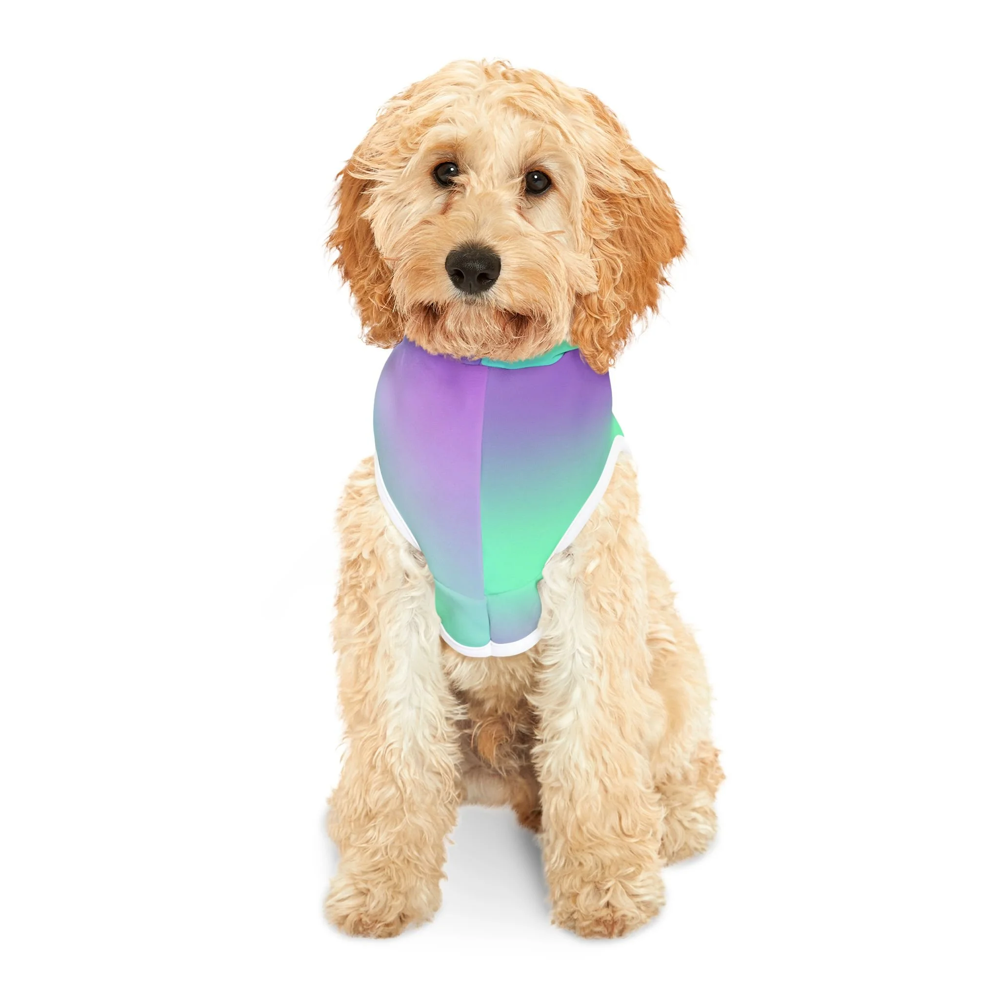 459870ad66770d3774244a7096ac8615