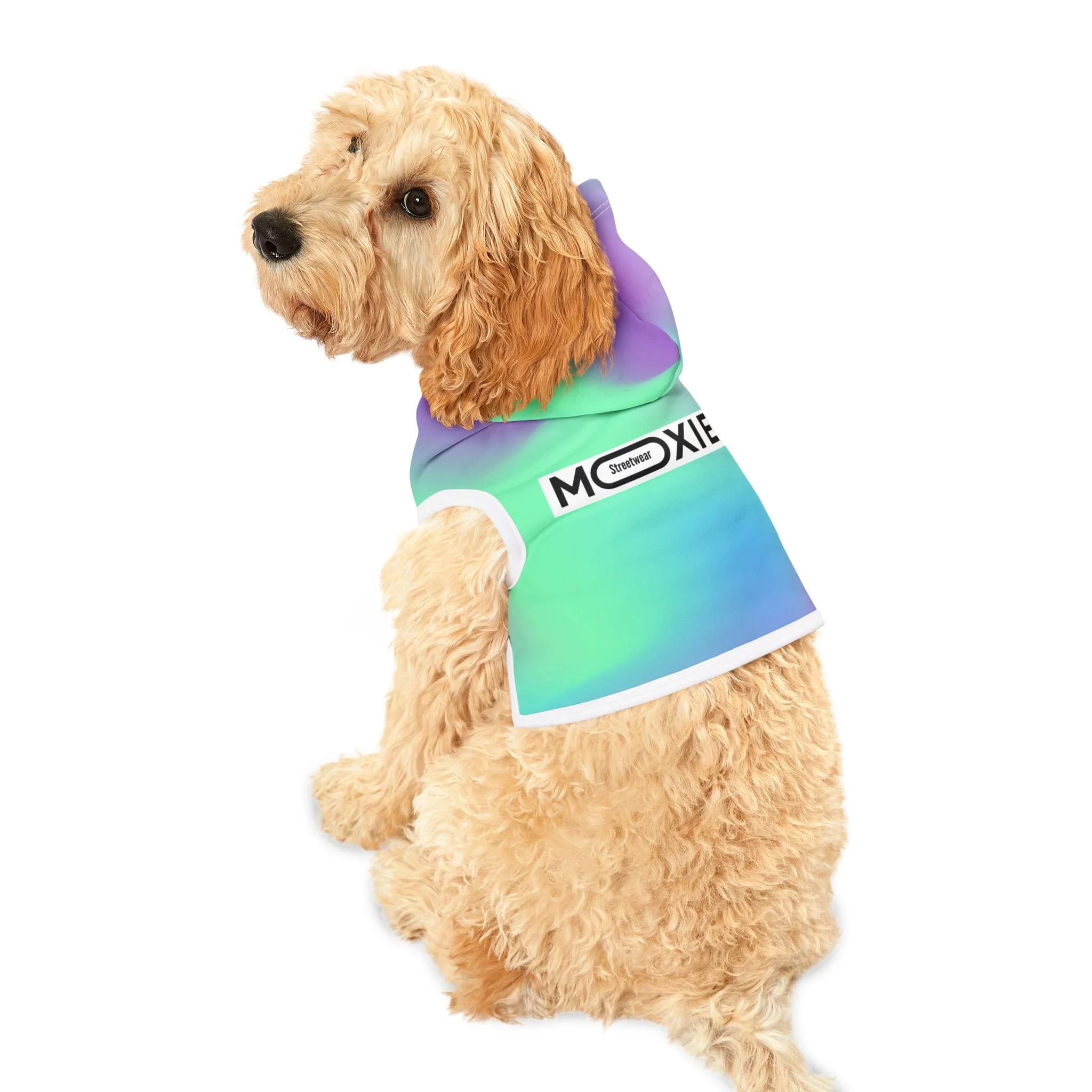 687673ef6f29b8a6f6d021b690fe5f4c