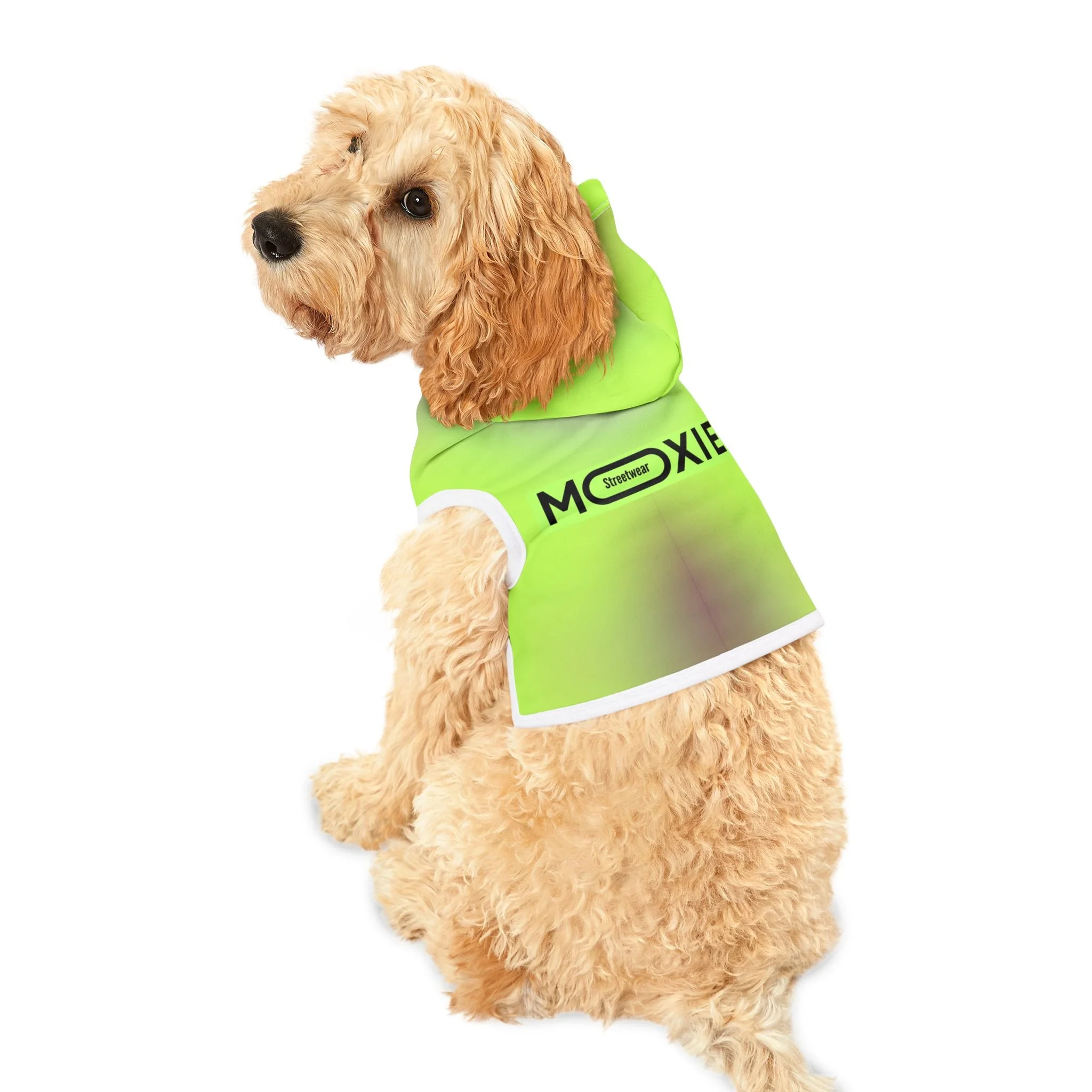 61f7df53ec34aac5f1e7f18c1ff32ed2