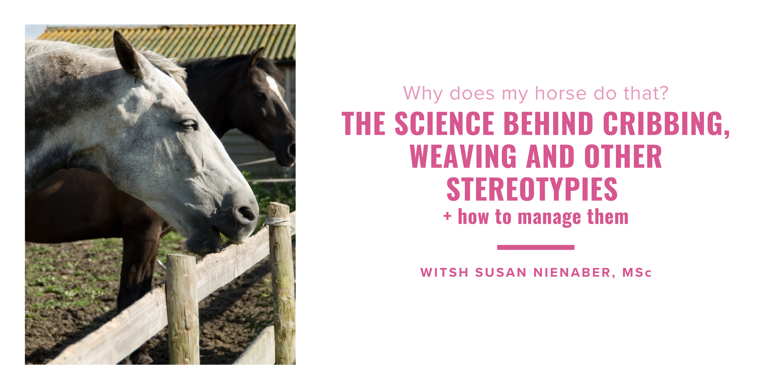 Online | Why Does My Horse Do That? The science behind cribbing, weaving and other stereotypies + how to manage them