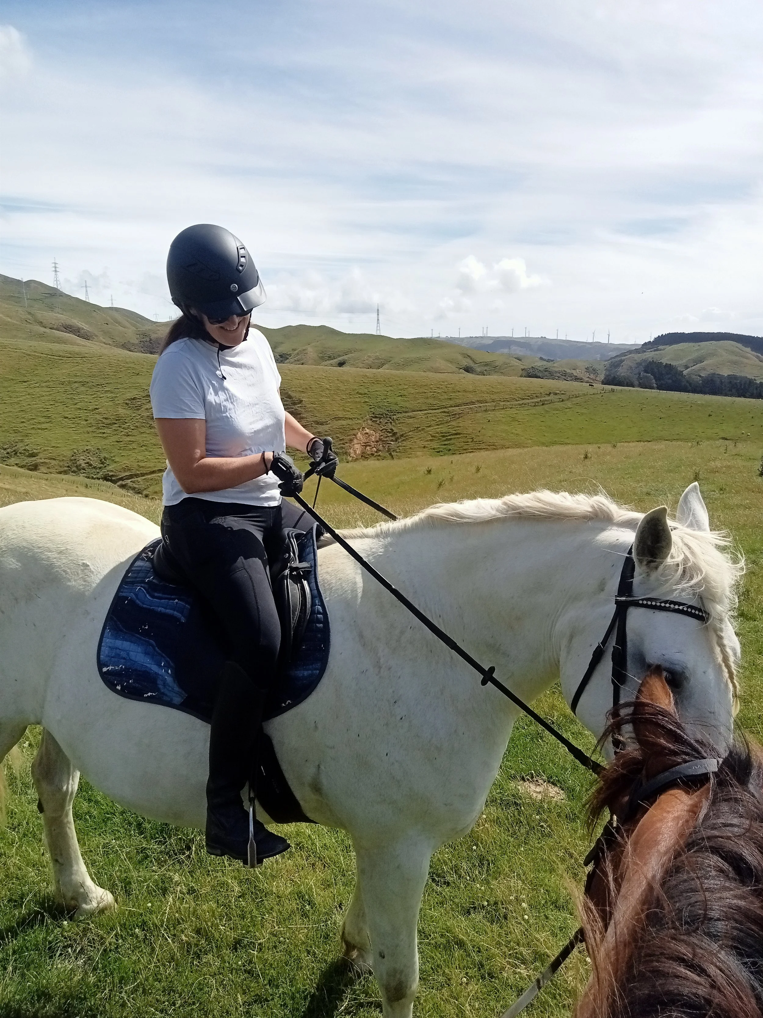 Weekend Breakdown: Riding Corners — The most wasted movement in dressage | Group lessons Ohariu
