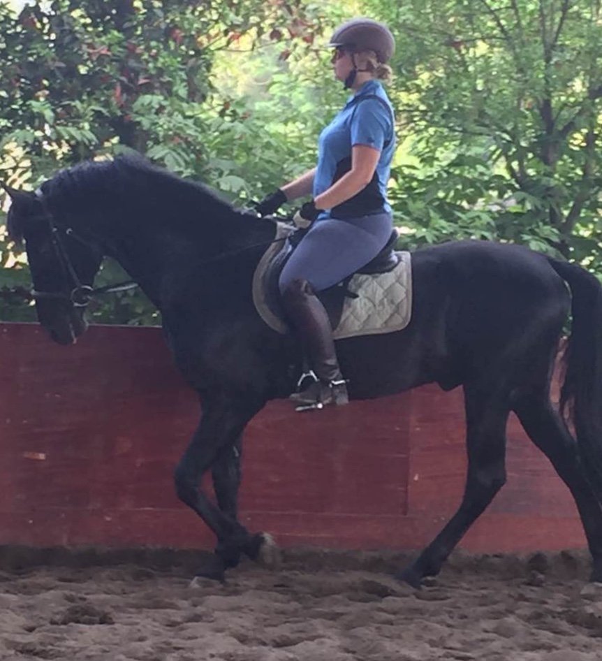Weekend Breakdown: Nailing your 20m circle — It's not as round as you think | Group lessons Ohariu