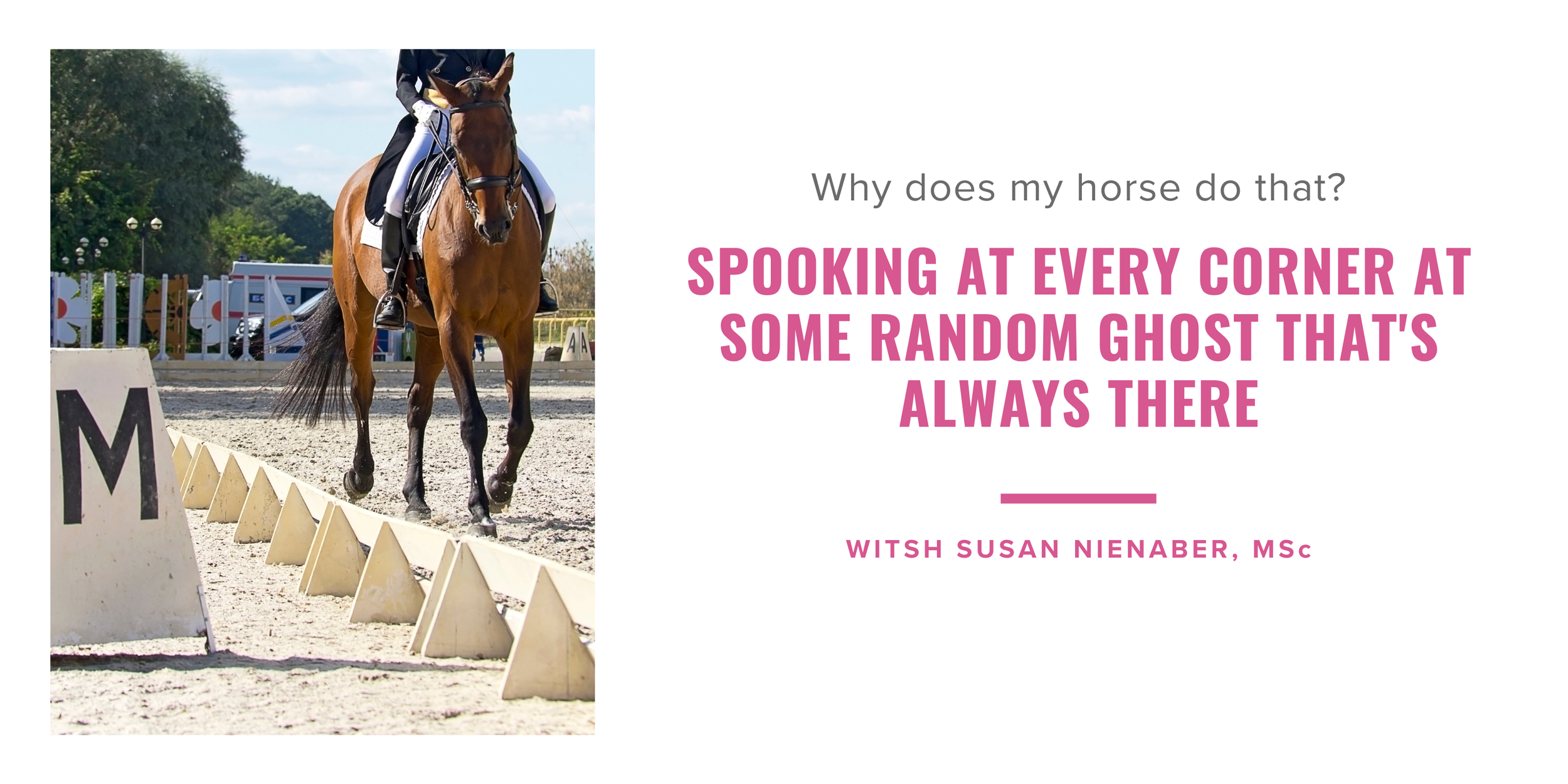 Online | Why Does My Horse Do That? Spooking at every corner at some random ghost that's always there