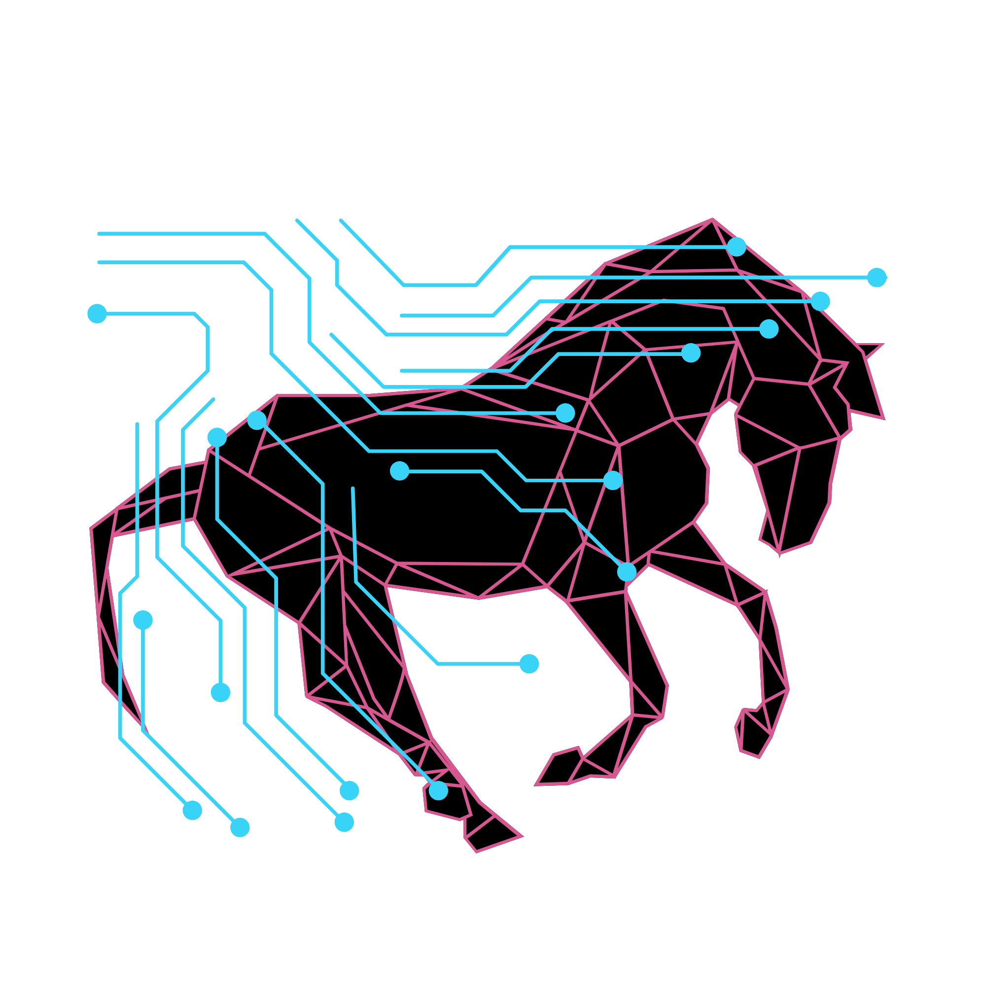 Dressage Wellington: The Science Behind the Training Scale — Unpacking the classical training scale through a science lens