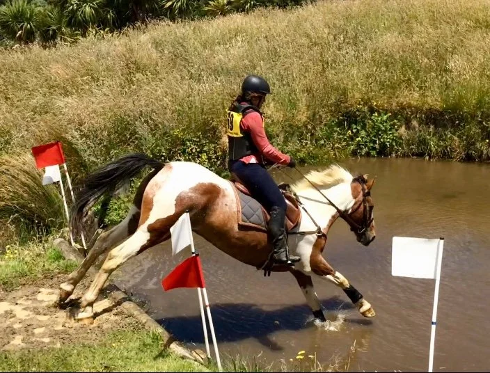 Equestrian rider jumping into water during cross-country event.