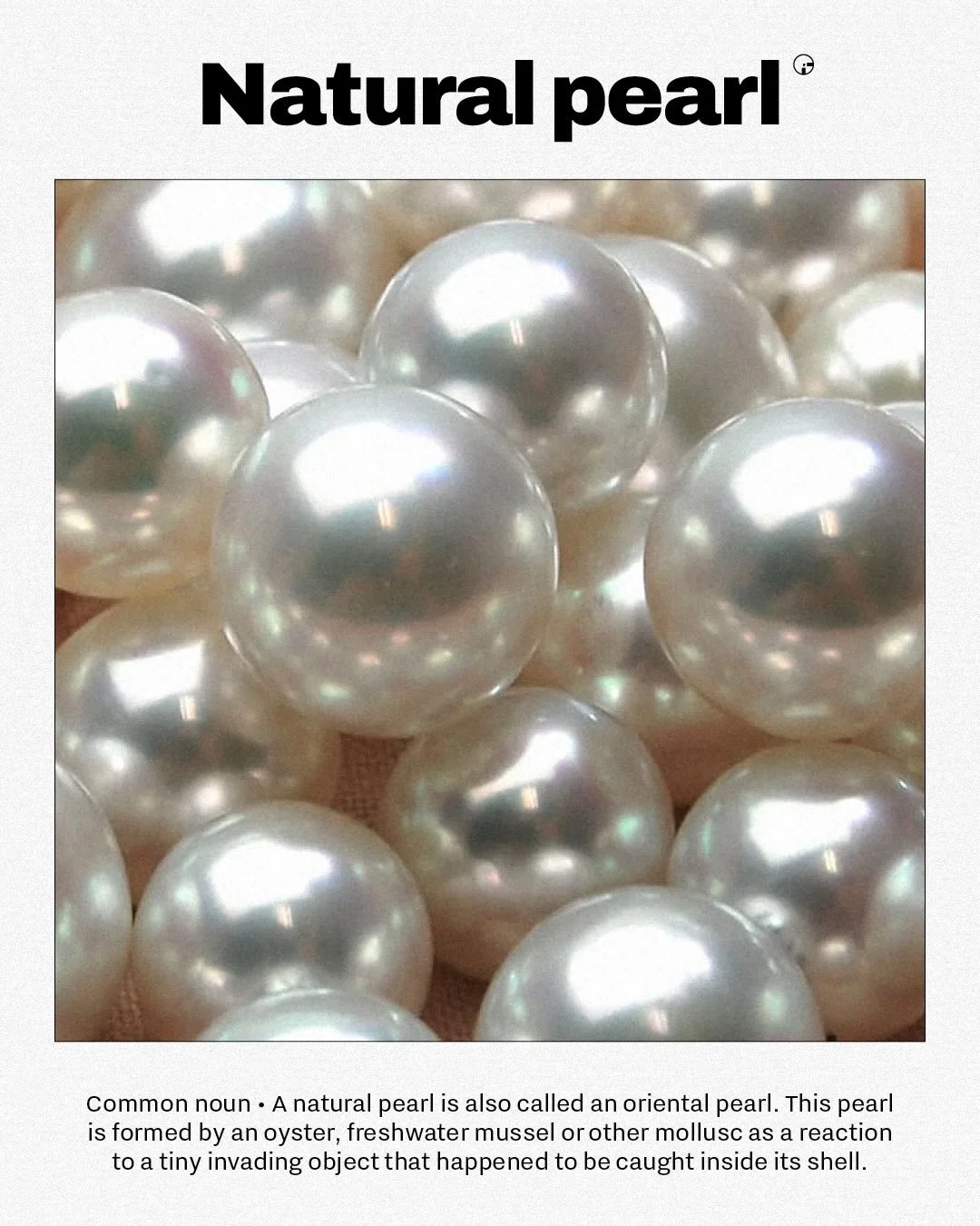 GLOSSARY &ndash; NATURAL PEARL (/ˈn&aelig;tʃ(ə)rəl pɜːrl/)
Also known as an oriental pearl, a natural pearl is born by chance. An oyster, freshwater mussel, or other mollusc creates it as a reaction to a tiny intruder trapped inside its shell. Nature
