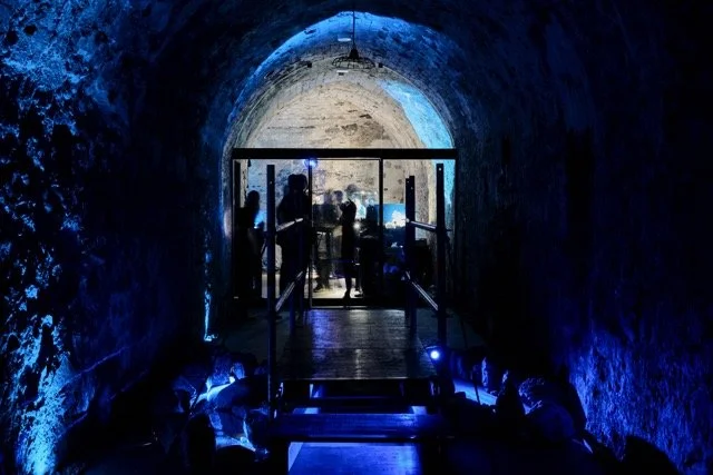 RoughDiamonds-Sceno-11 - Moyenne.jpeg