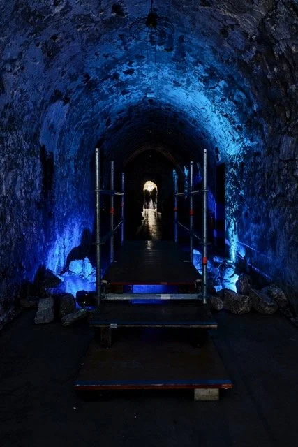 RoughDiamonds-Sceno-45 - Moyenne.jpeg