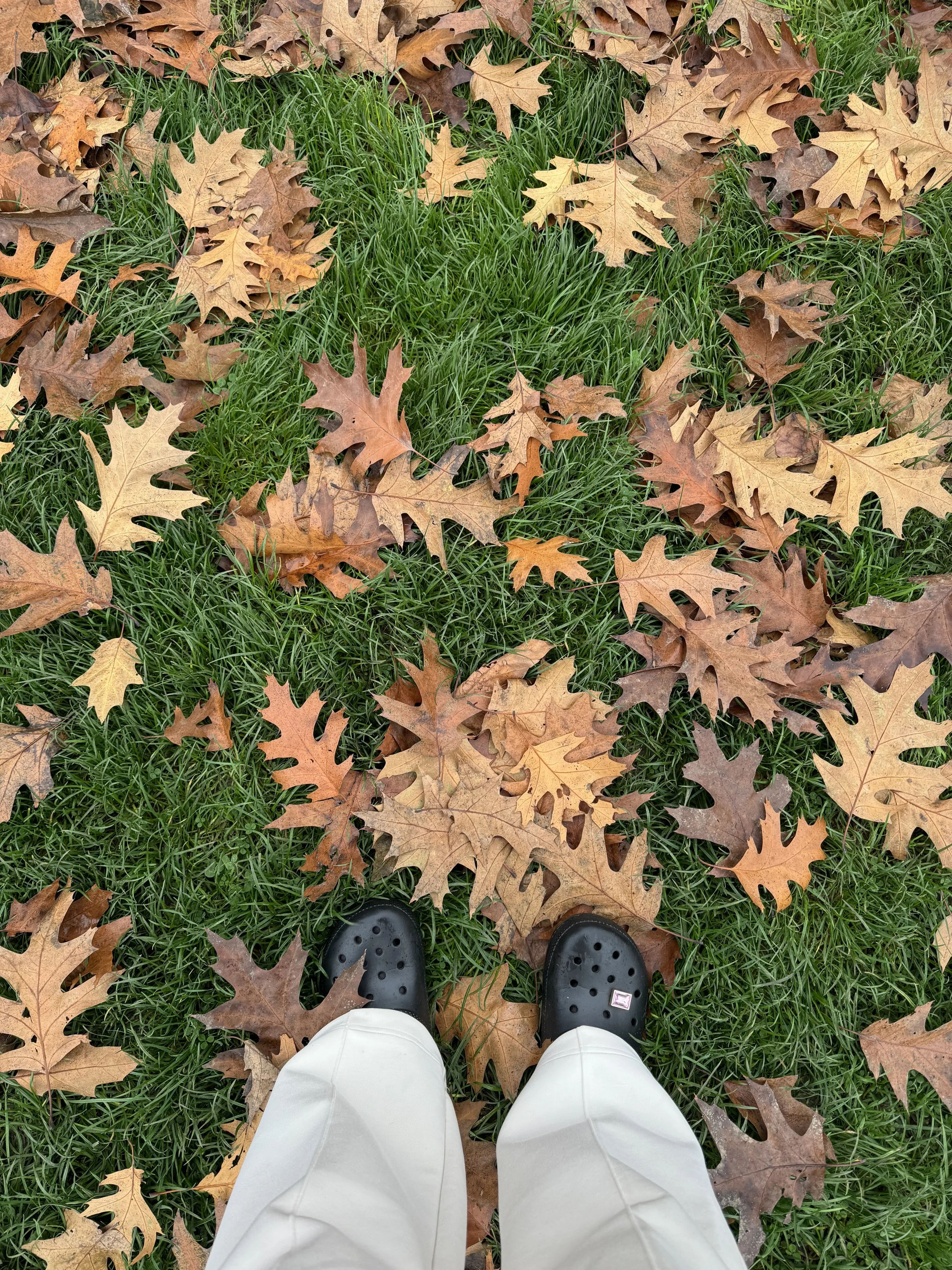 IMG_0977.jpeg