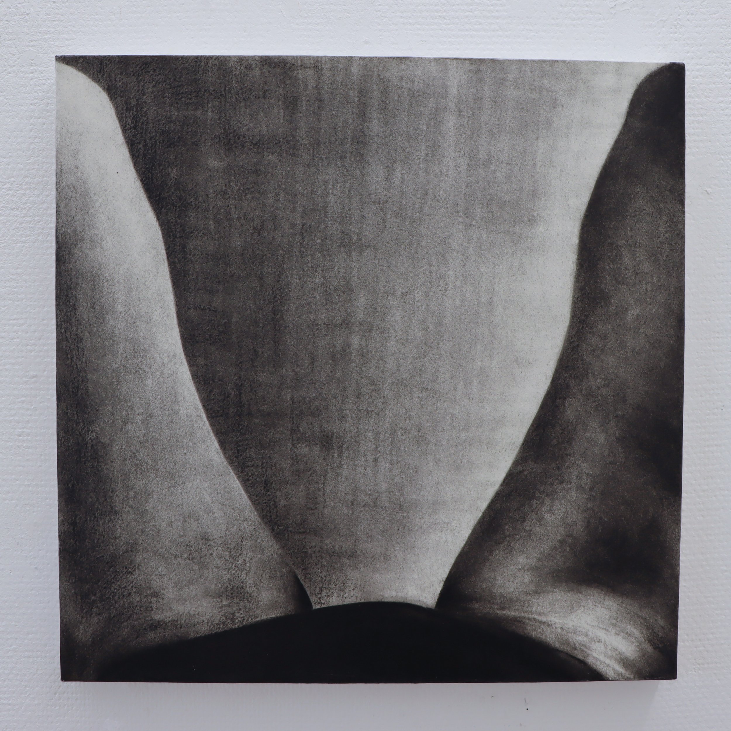 Östersunds Kommun 2025 – 
"Revir 1" 
Kol och vax på pannå, 50x50 cm