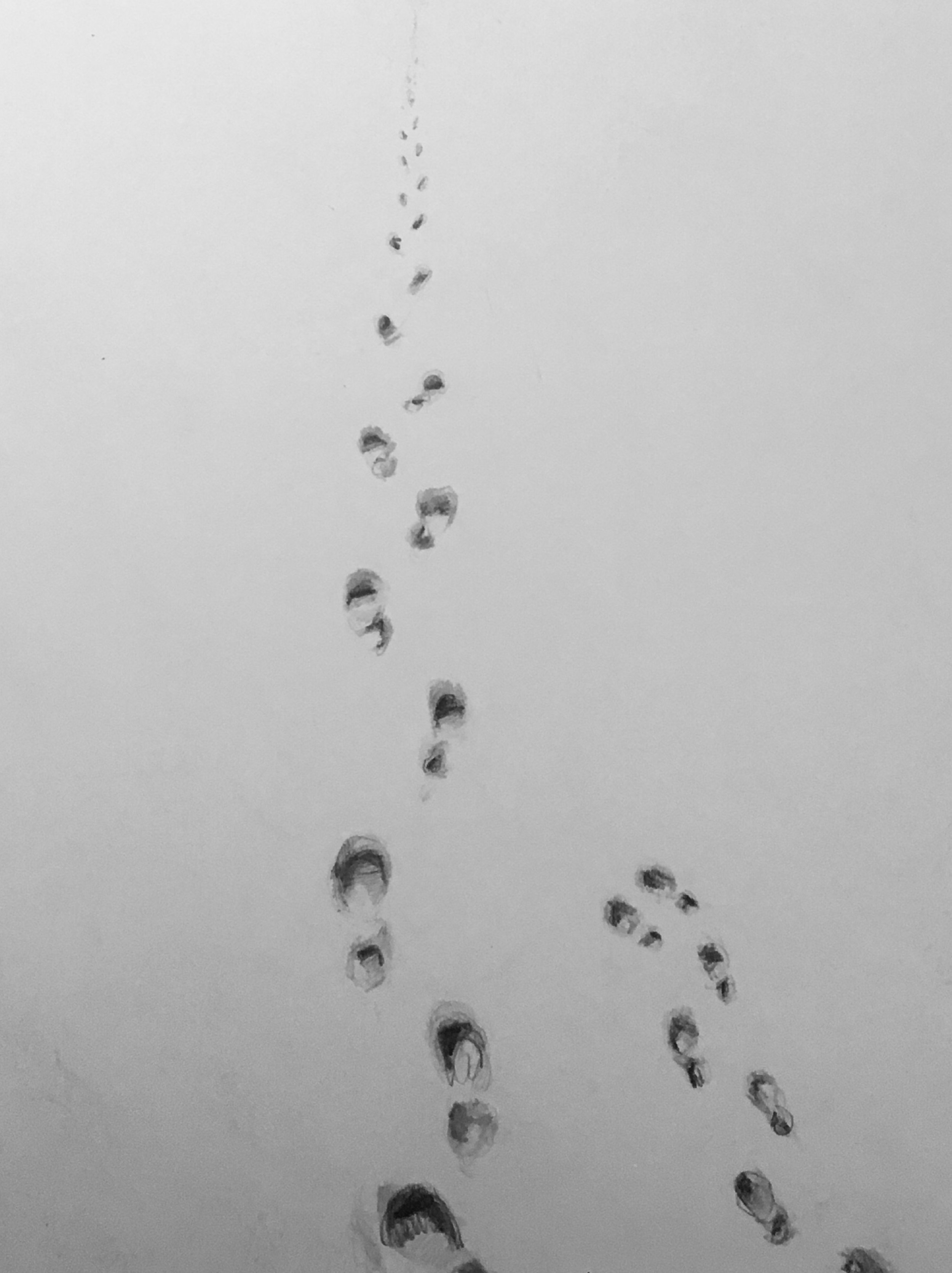 Palestinaboken – Tecknare i solidaritet, Tecknaruppropet 2024.