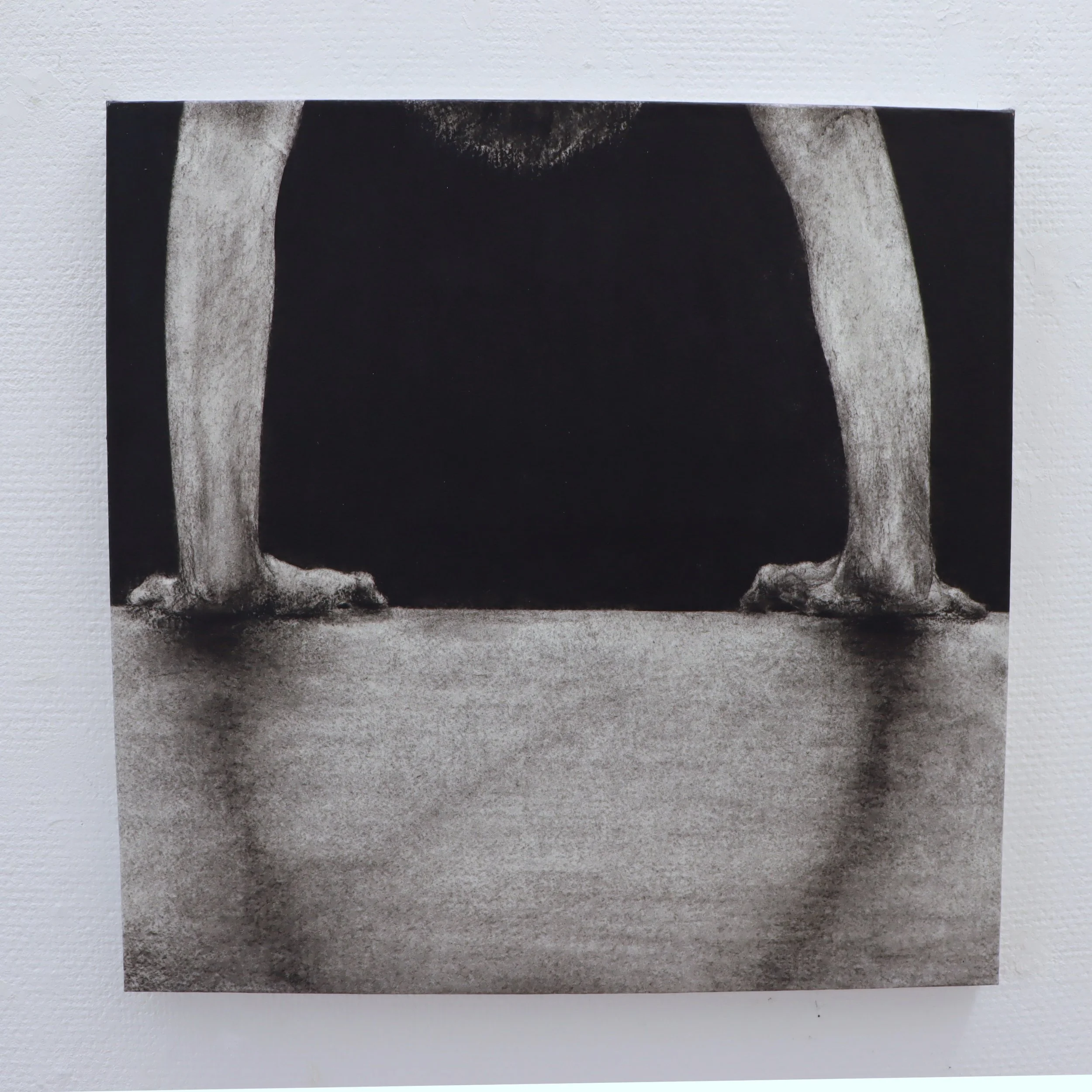 Östersunds Kommun 2025 – 
"Revir 3" 
Kol och vax på pannå, 50x50 cm