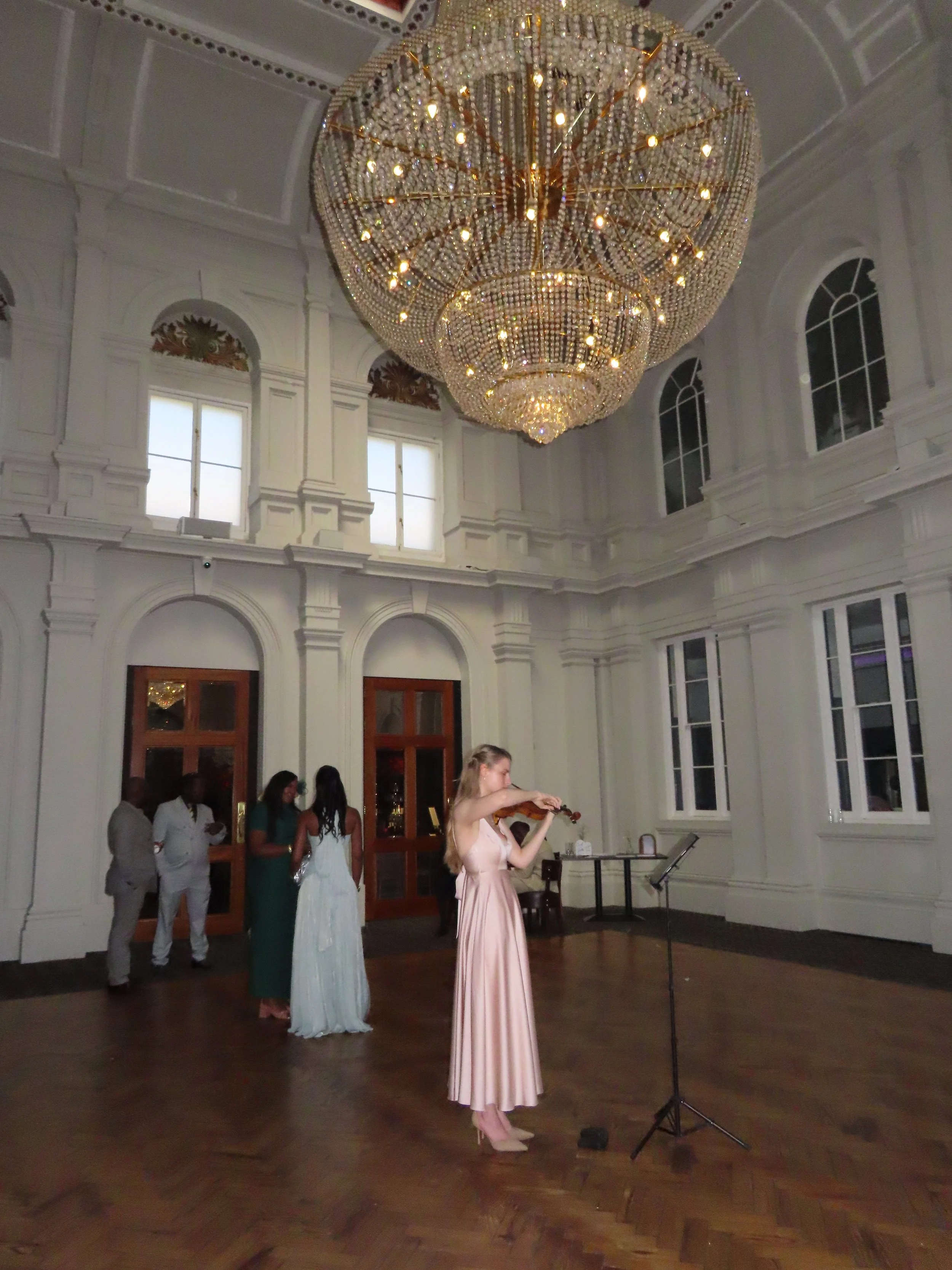 Violinist OTH 2.jpeg