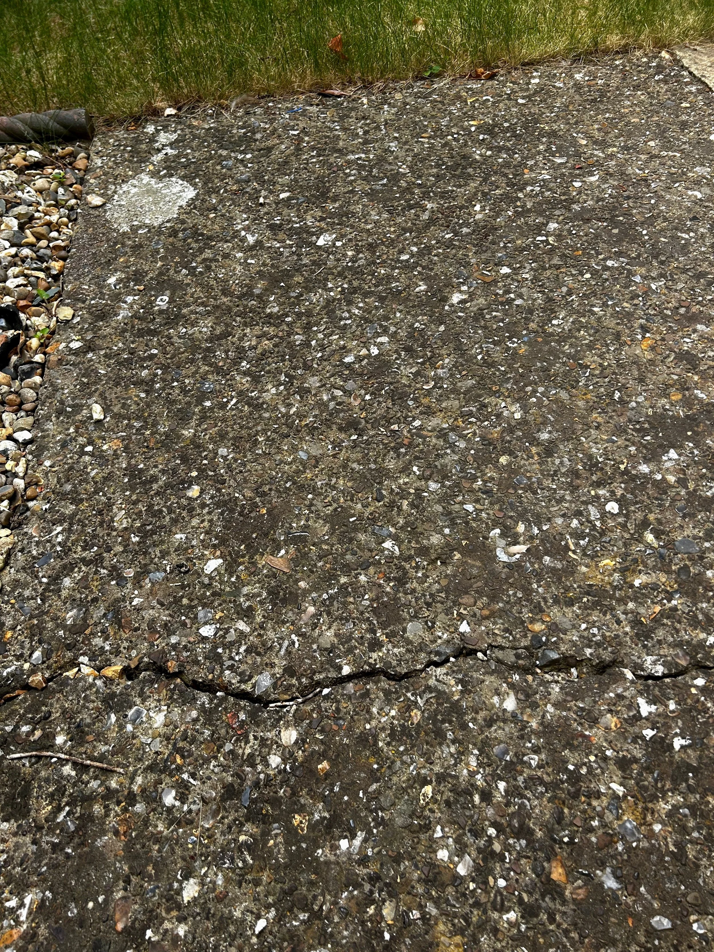 IMG_4456.jpg