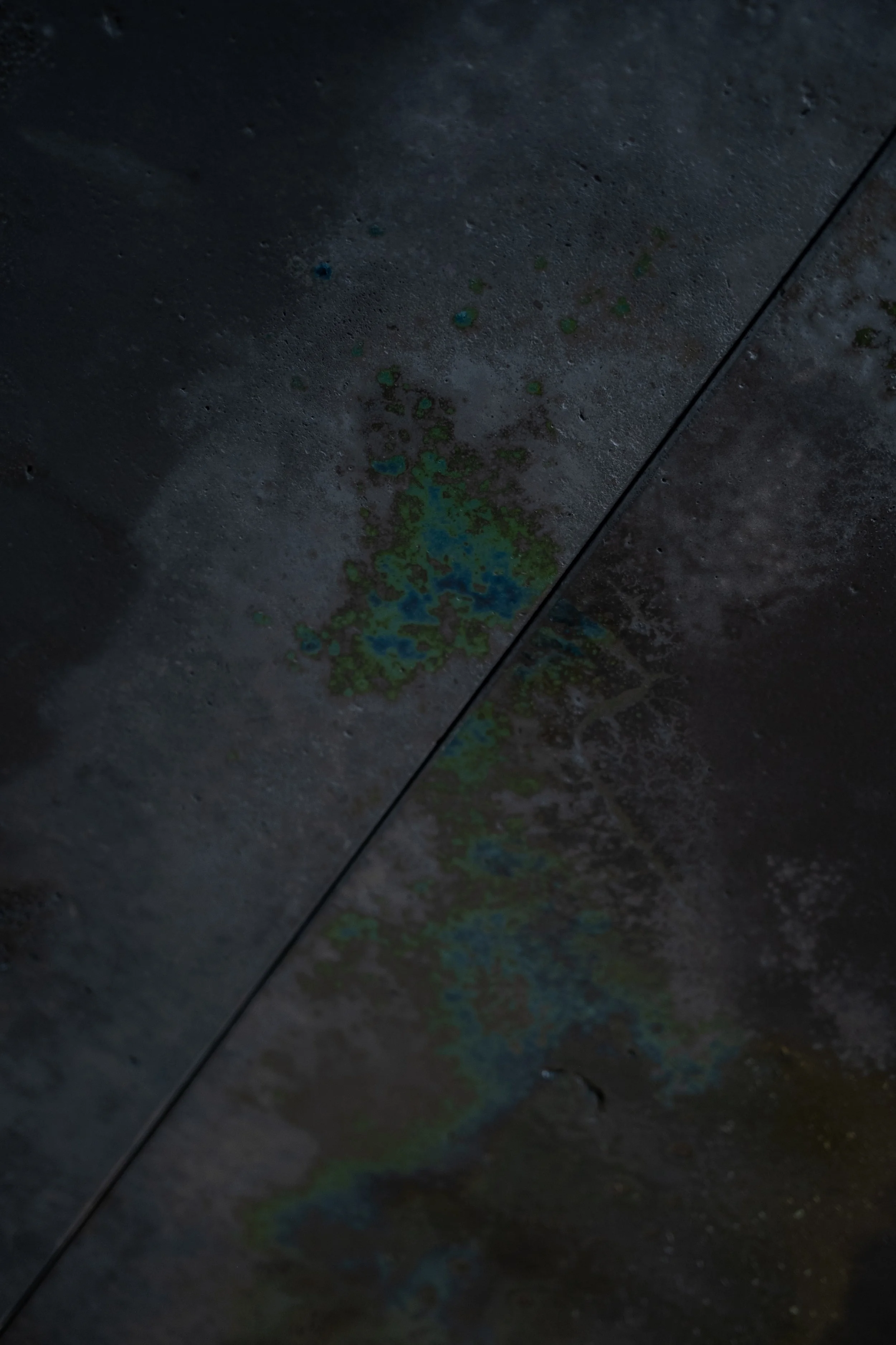 DSCF3134.jpg