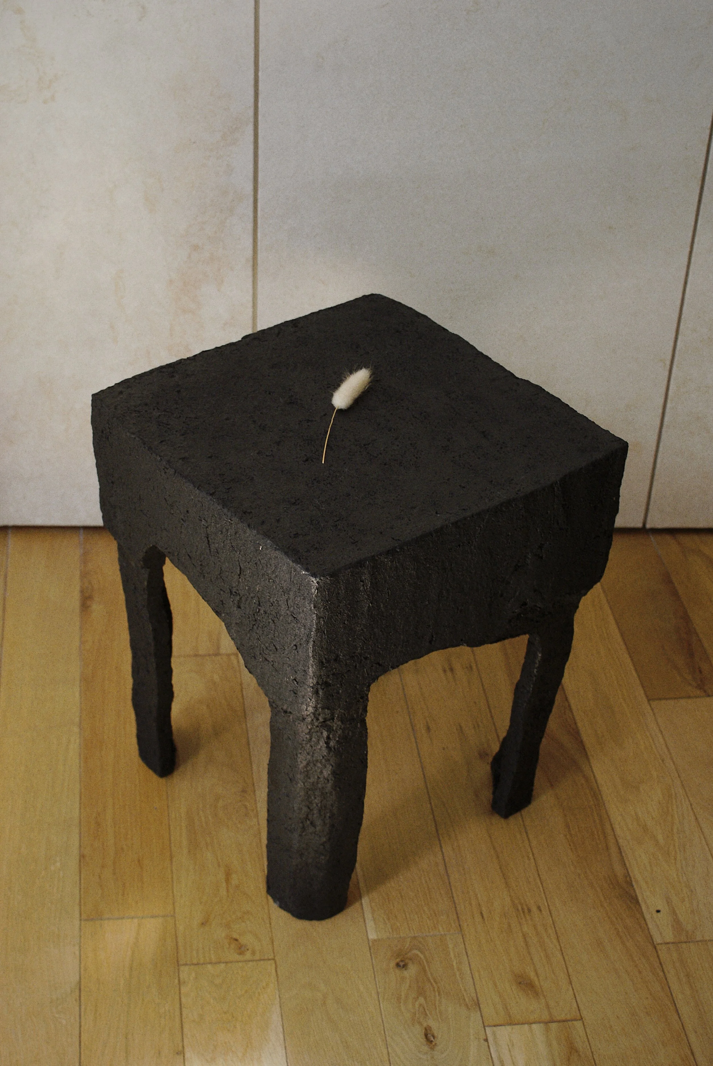 ISIMG-938678.JPG