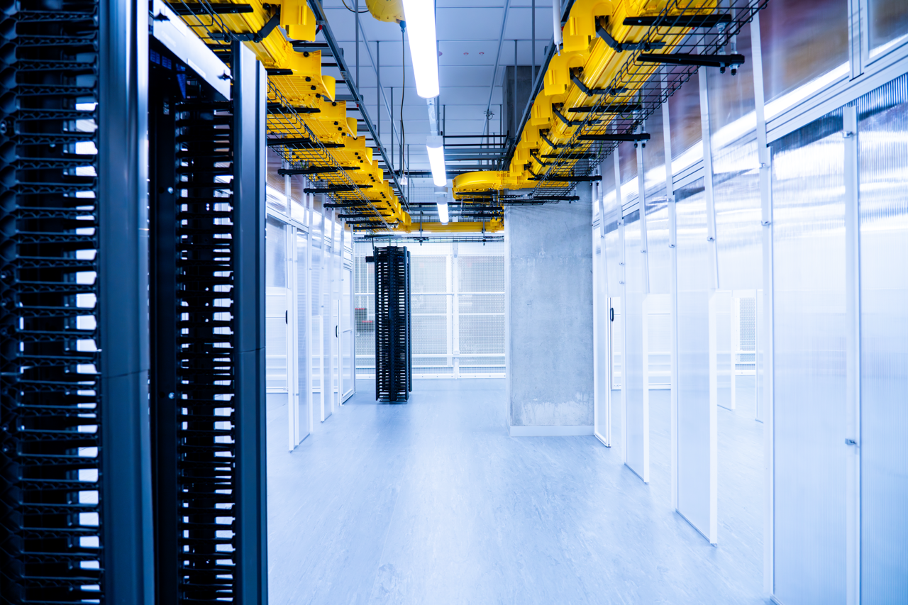 CACTUS_MDC_2025content-fullres-149 Large.png