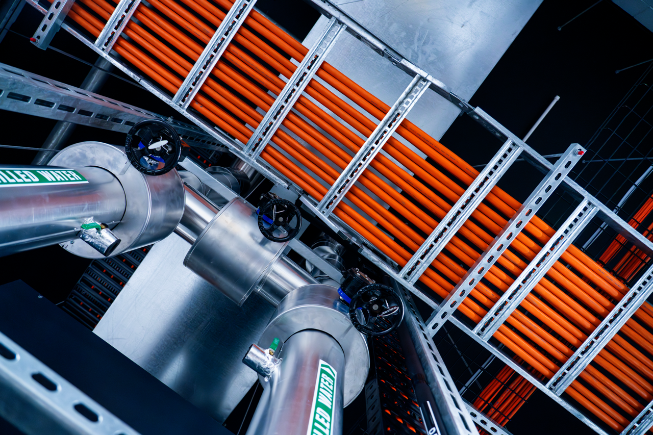 CACTUS_MDC_2025content-fullres-274 Large.png