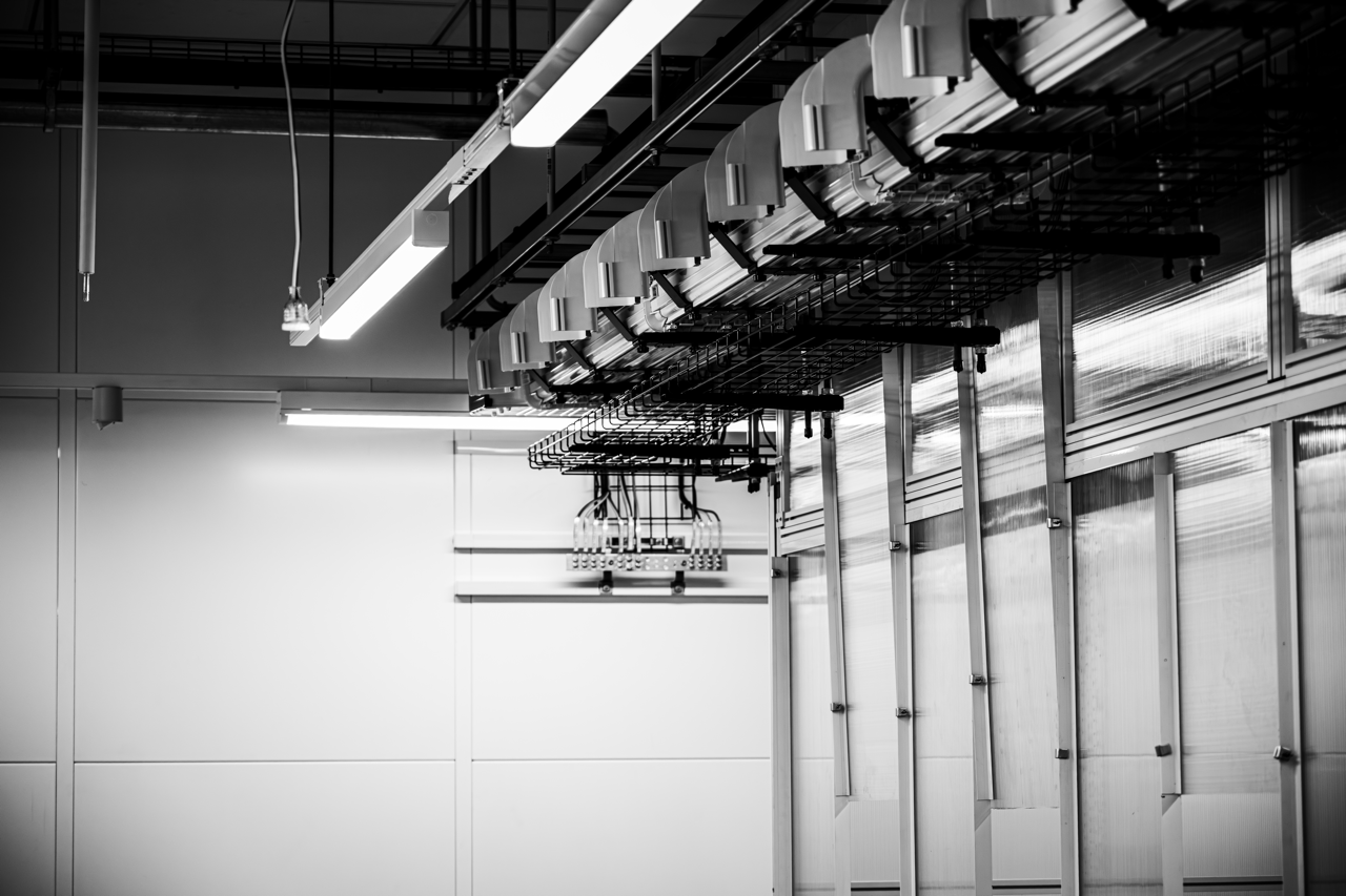 CACTUS_MDC_2025content-fullres-154 Large.png