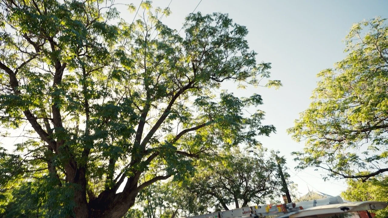 SERV_260209-KenHall-Images-36 Large.jpeg