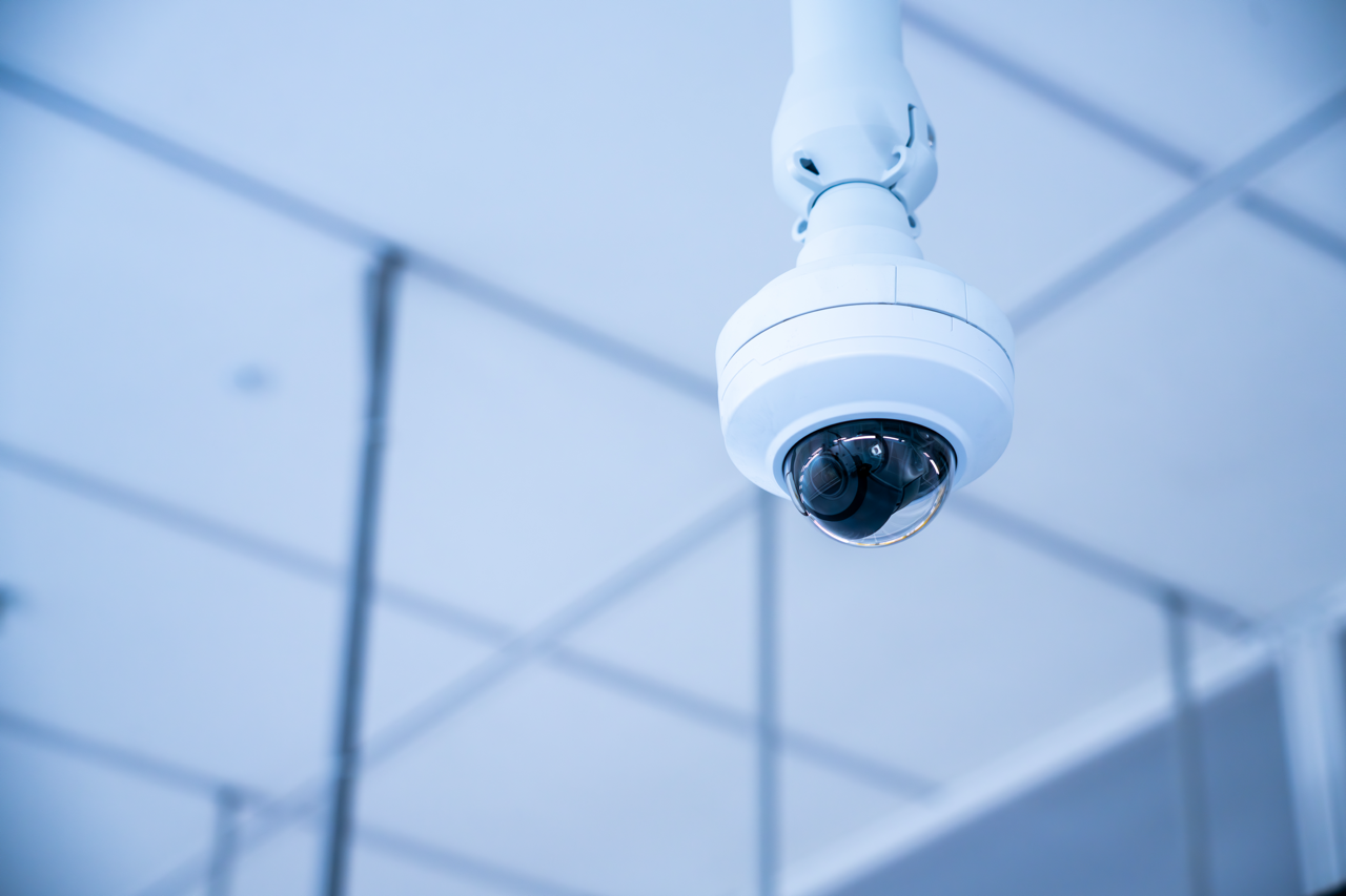 CACTUS_MDC_2025content-fullres-155 Large.png