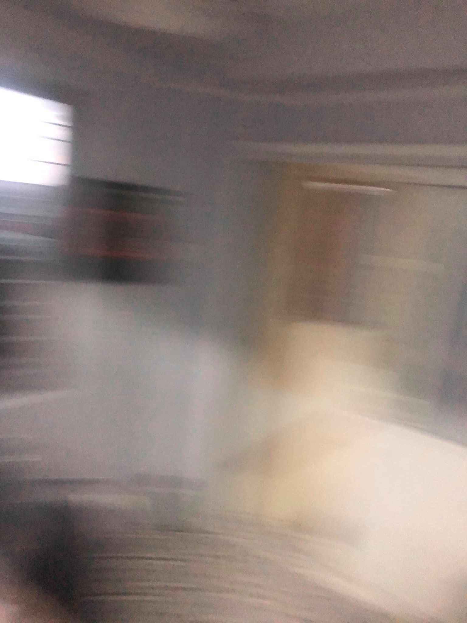 Image 3_I don't know where the house ends and I begin.JPG
