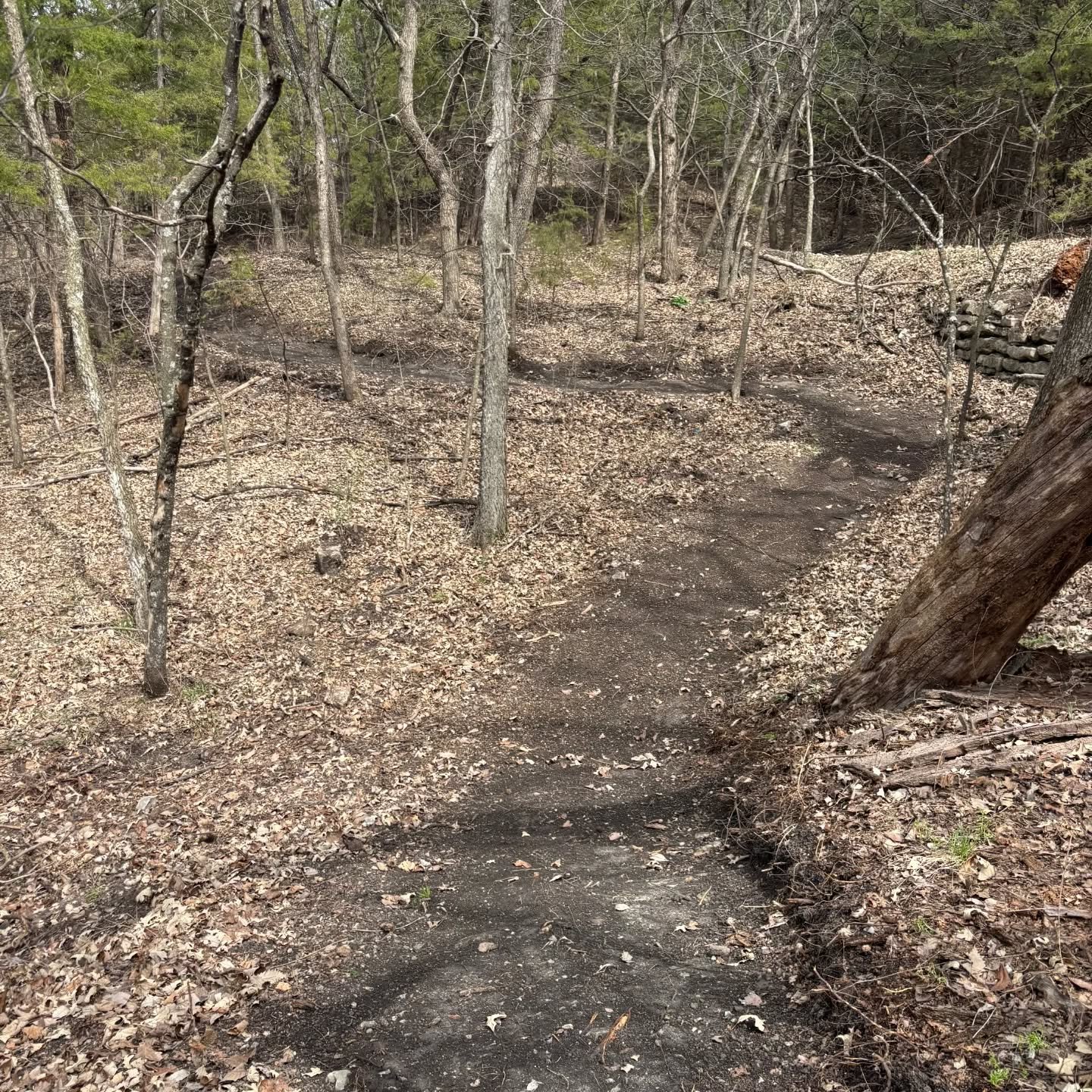 Handcut multiuse trail for the city of Waterville, Kansas. Lake Idlewild nature trails are moving right along! 

#nomadtrailsdevelopment #protrailbuilder #trailbuilding #trailbuilder #trailwork #traildesign #purposebuilt #bikepark #jumptrail #flowtra
