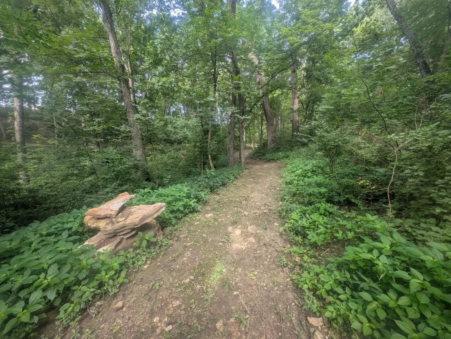 4.1 mile NICA race loop is ready for tires in Columbia at Gans Creek Recreation Area!! The dirt is incredible and the track is so much fun for both beginners and advanced riders. Can't wait to see all the kids with @missourimtb racing it in a short c