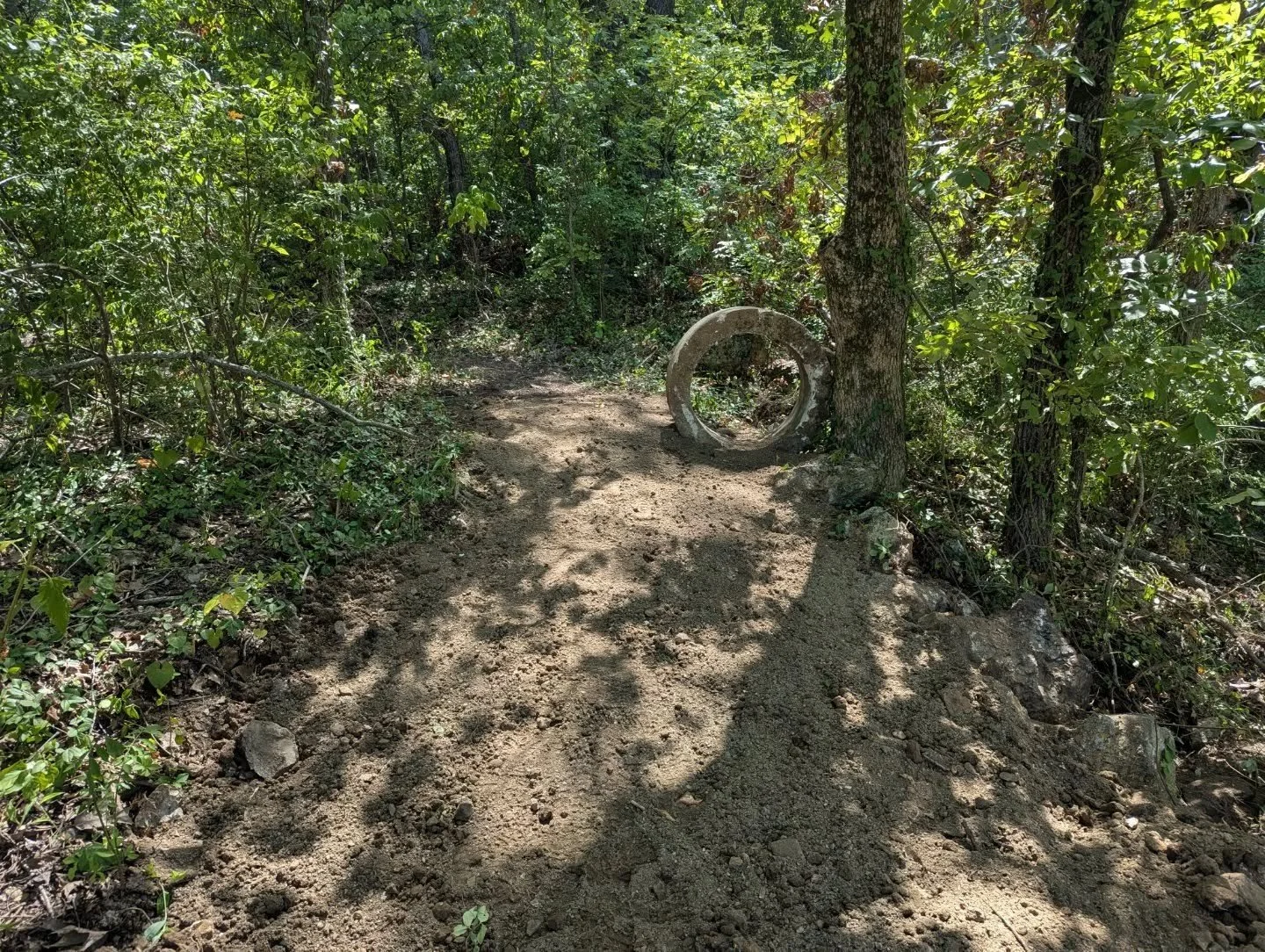 Mo' progress at MOmentum Bike Park in Joplin. @americanrampcompany @protrailbuilder 
#nomadtrailsdevelopment #protrailbuilder #trailbuilding #trailbuilder #trailwork #traildesign #purposebuilt #bikepark #jumptrail #flowtrail #downhillmtb #dirtjump #e