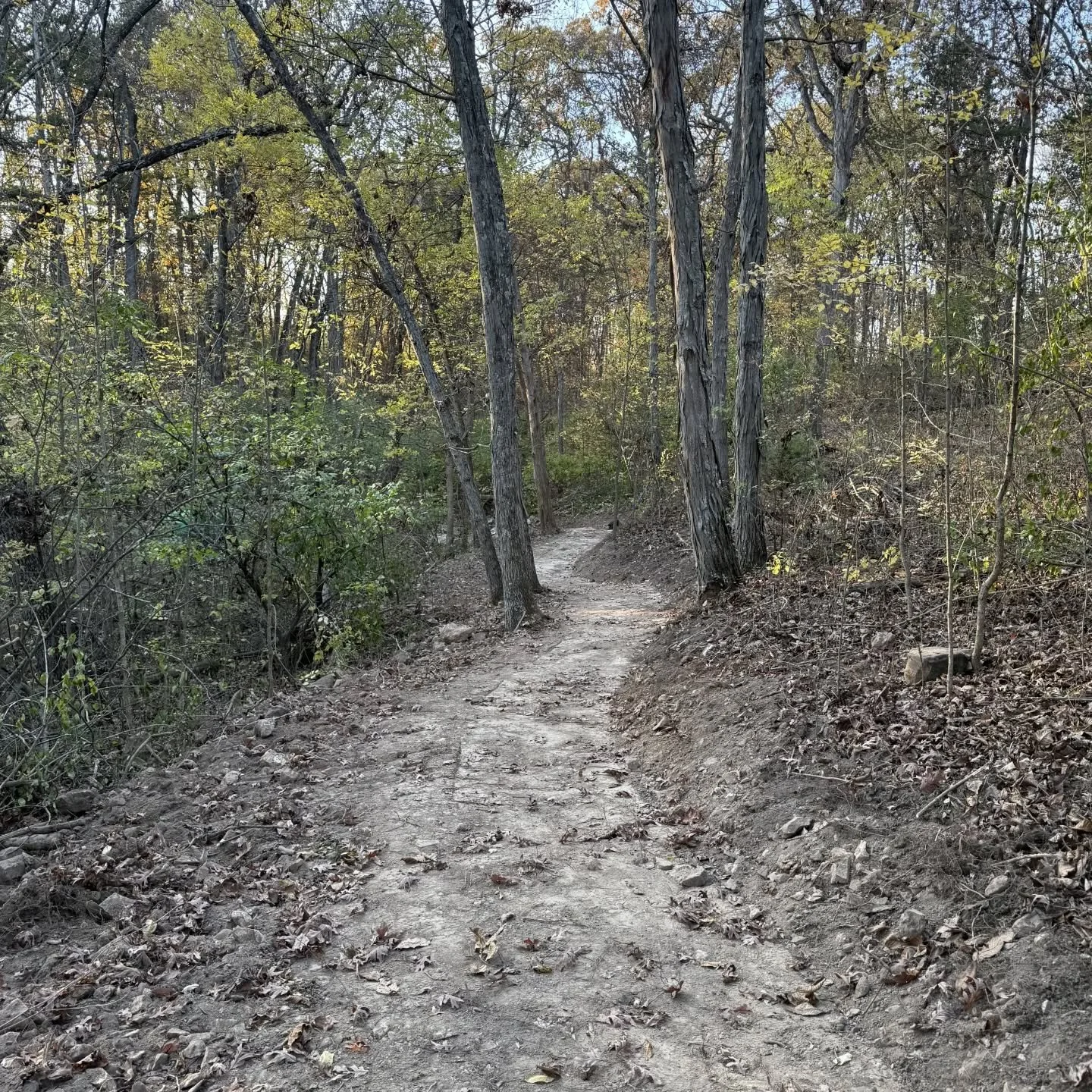 The Krewe is back in beautiful Columbia, Missouri laying it down at Gans Creek. Little extension of the green loop should be done this week and a new blue loop will be coming in hot by end of the year. 
#nomadtrailsdevelopment #trailbuilding #trailbu