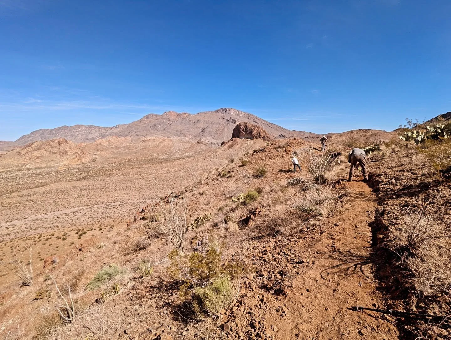 The Krewe has kept rolling all winter, taking a respite down to our 80 acres next to Big Bend National Park, where it's 60/70s and sunny all winter. Good ole hand building through the desert! First hiking/dh trail to the top ridge is complete! Lot be