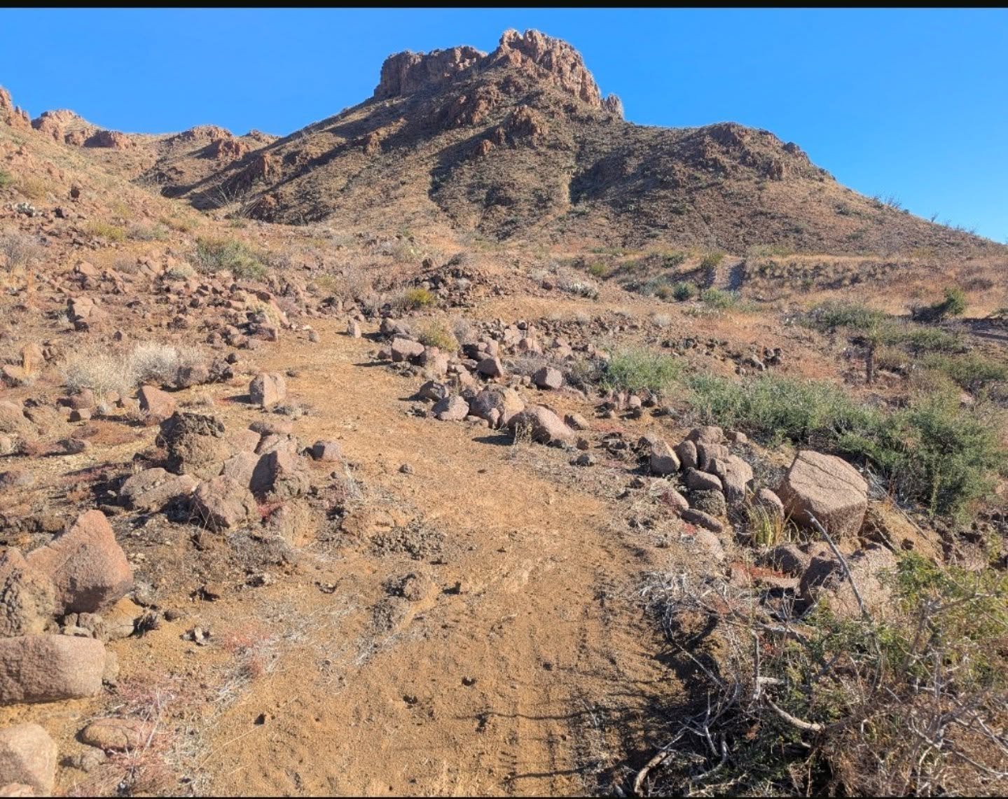 We got right at about 2 miles of trail on the ground this winter in Big Bend with the Krewe. Lots of rock to get through 🤣 Got lucky with some rain so we could finish! Also got the cabin structure starting to come up. The views never end. 

@nomadtr
