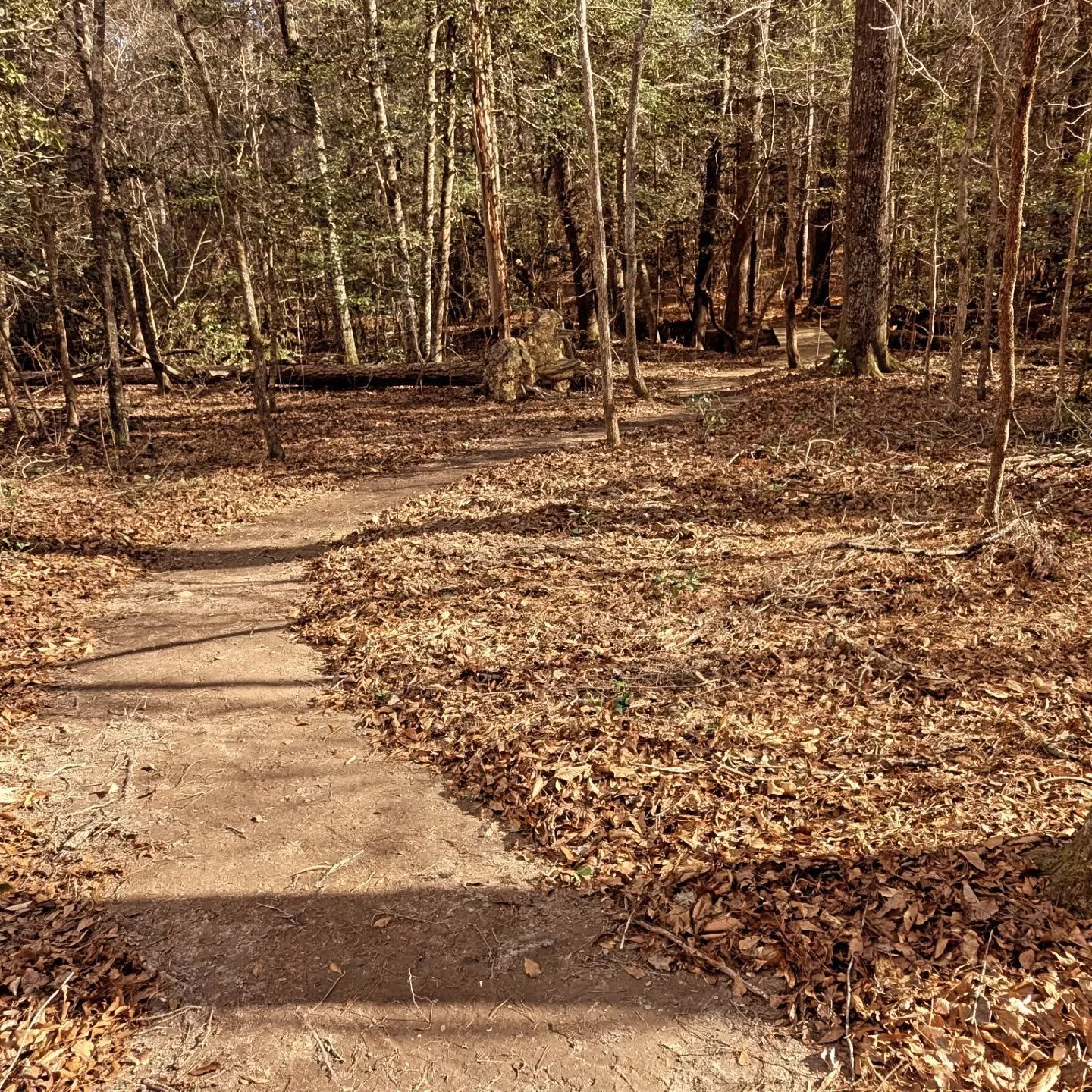 Carolina gold! Krewe is laying it down in the pines just south of Charlotte with @naturetrailsllc - stoked to be out on this section of NICA/multiuse trail. Lots of other fun trails coming soon! Stay tuned. 

@nomadtrailsdevelopment @naturetrailsllc 