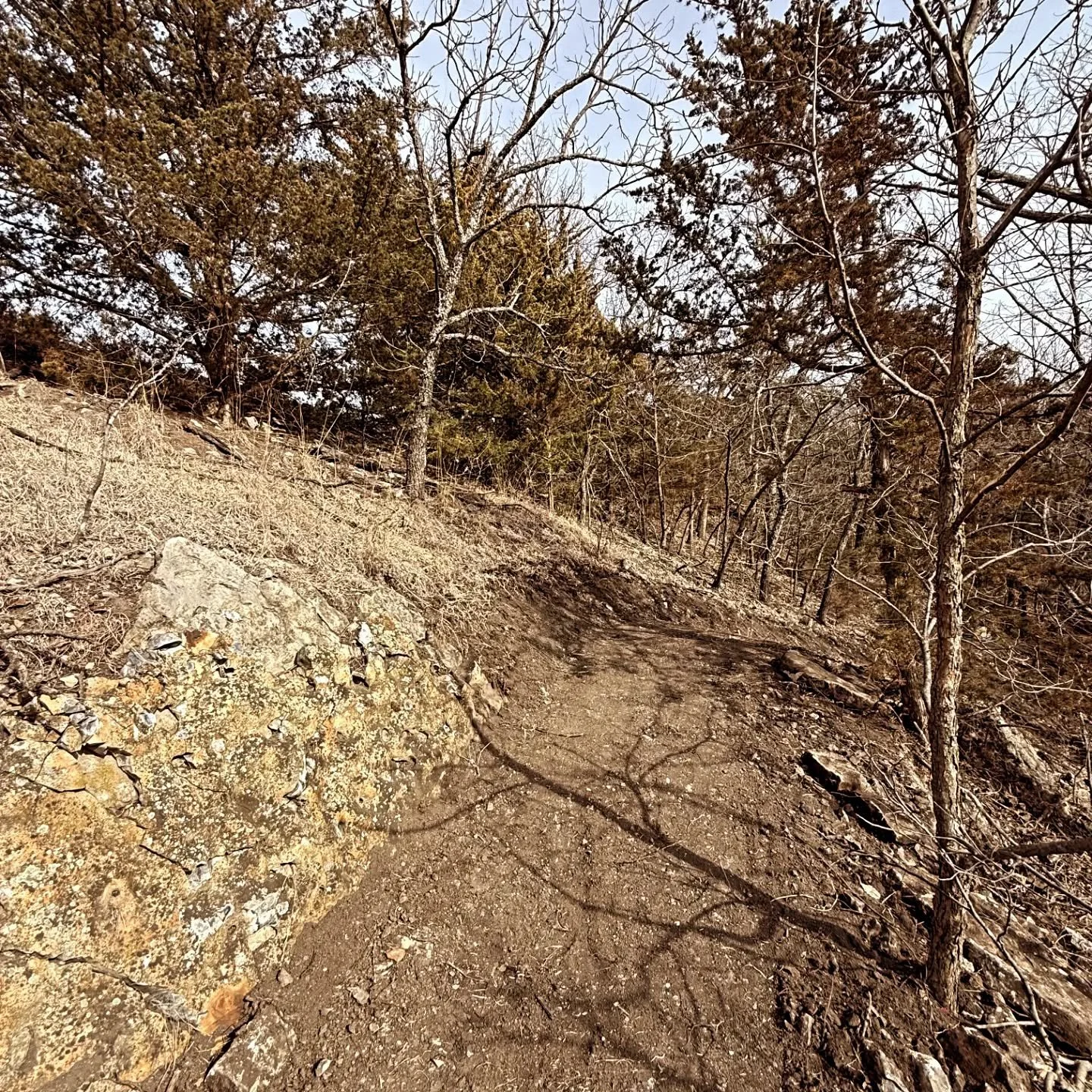 2 miles of glorious variable terrain Kansas singletrack at Idlewild Lake for the City of Waterville. Opening soon for your hiking and biking pleasure. Krewe is crushing it! 

#nomadtrailsdevelopment #trailbuilding #trailbuilder #trailwork #buildsusta