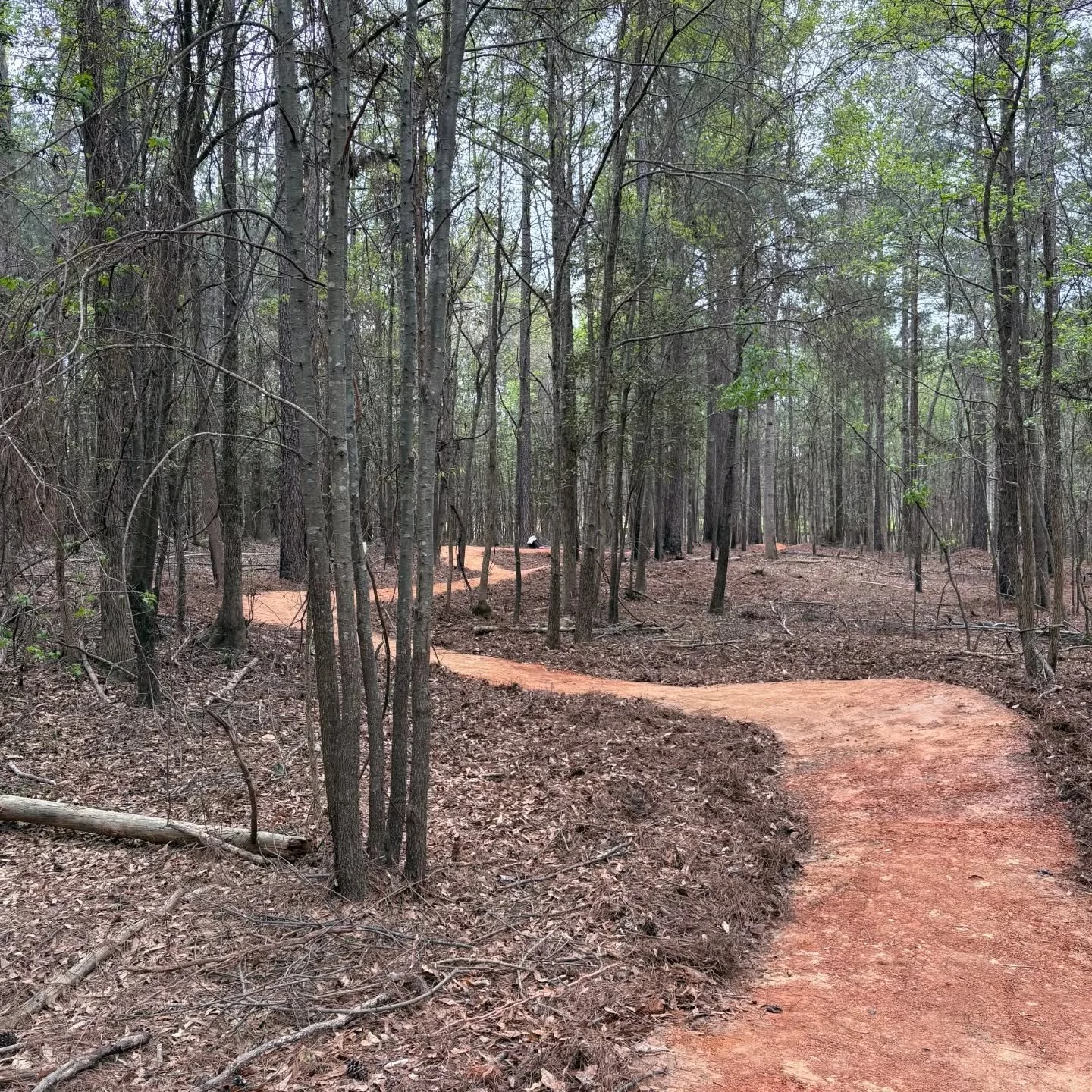 Carolina Krewe is killing it!!! Catawba Bend Preserve is going to be great. 
@nomadtrailsdevelopment
@naturetrailsllc
@protrailbuilder
#trailbuilding #trailbuilder #trailwork #rockwork #buildsustainablecommunities