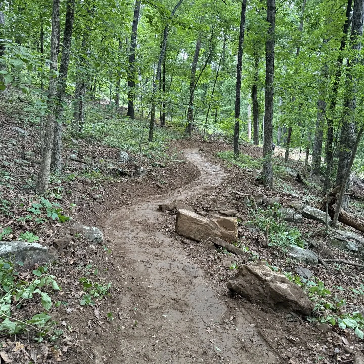 Few of the boys have been in Arkansas laying it down with our good friends at @affordabletrailsolutions in Russellville. Real dirt?!? You betcha! Flowy, tight, and everything that makes good singletrack right. 
#nomadtrailsdevelopment #trailbuilding 