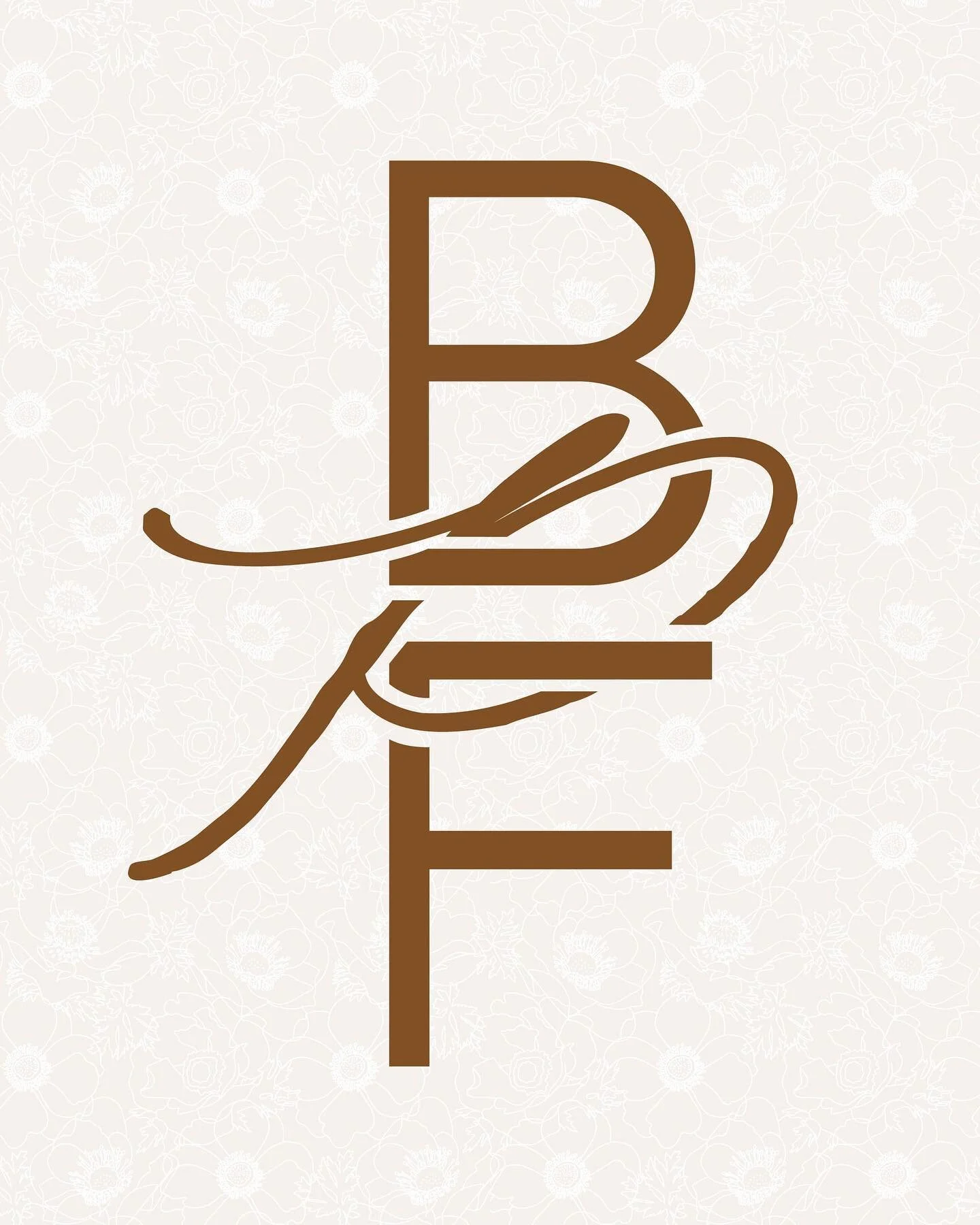 My favorite part of creating the logo suite for a client is the lovely little details. The logo marks, like this one for @biddlephotofilm, are usually my favorite! They have so much personality without having to have a lot of information in them, and