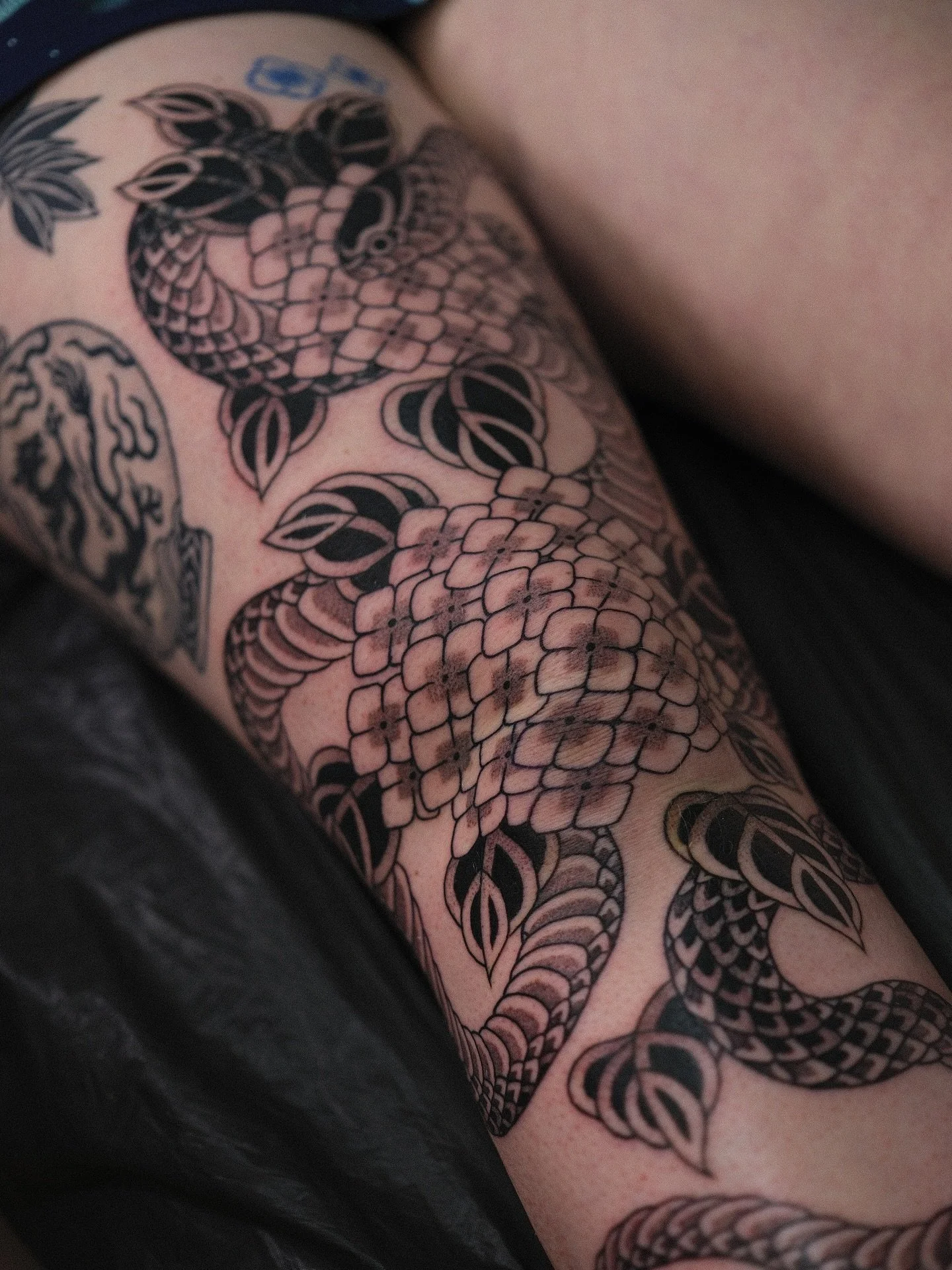 Snake and Hydrangeas with a bit of a cover up for Christine, thanks so much!! Next to a healed dragon vase from last year. 
Bookings via link in bio 😊
@chapeltattoo