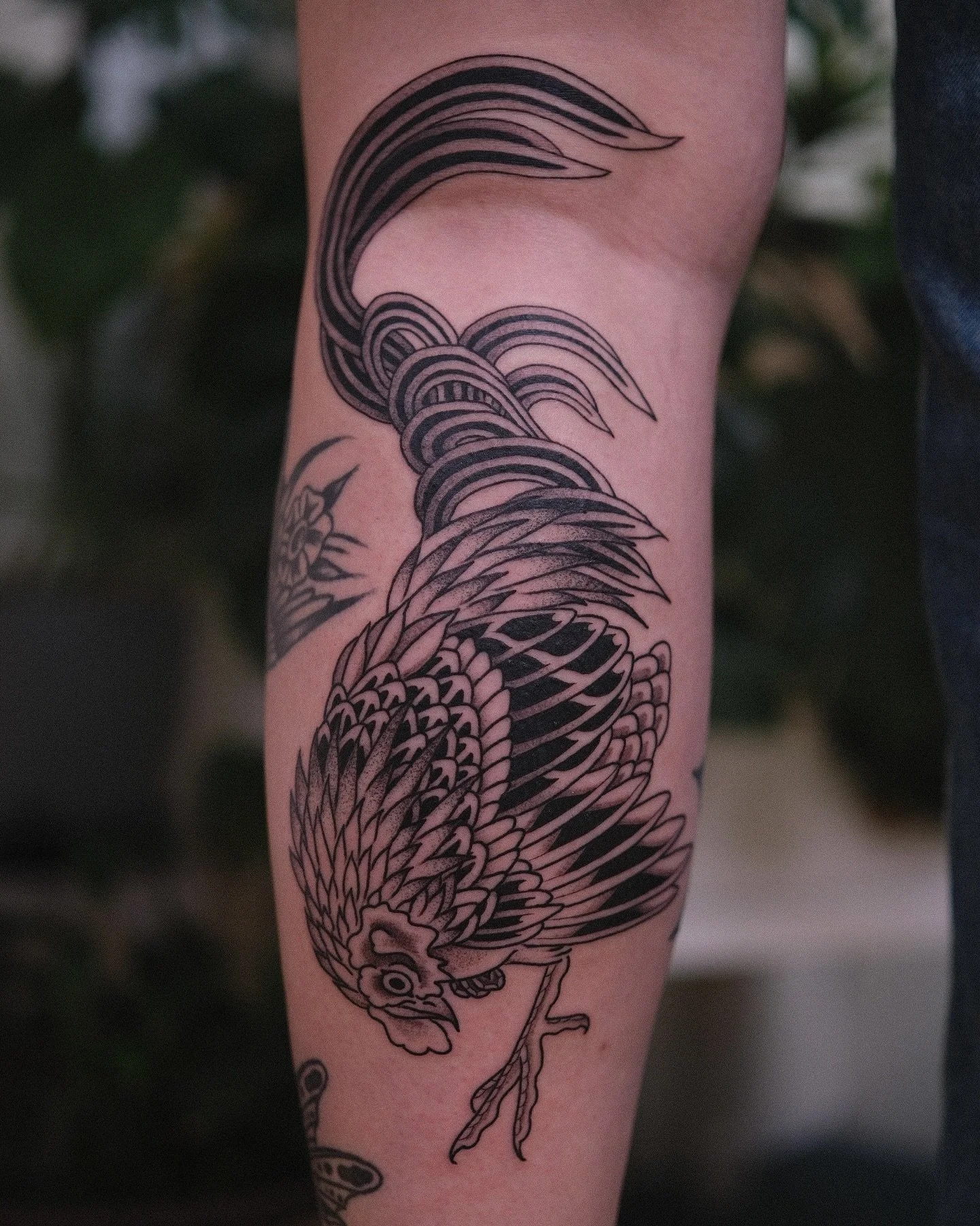 Tatts and good times from my recent trip to Adelaide @__xo.temple__ 
Thanks to everyone who got tattooed and thanks you @jayaism and the crew for having me 🙏🙏🙏 I&rsquo;ll be back soon 😊