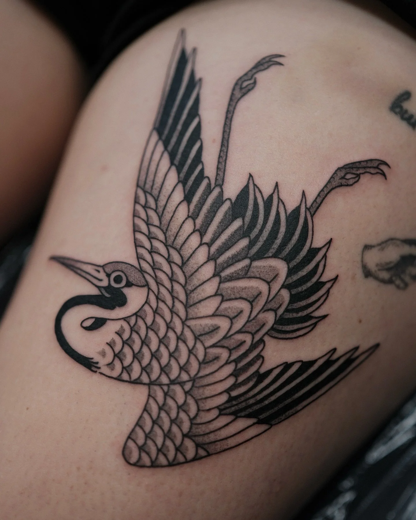 Crane for Jenny, done during my recent guest spot @sacredtattoonz 
Now bookings for Jan/Feb @chapeltattoo 
Link in bio to book 😊