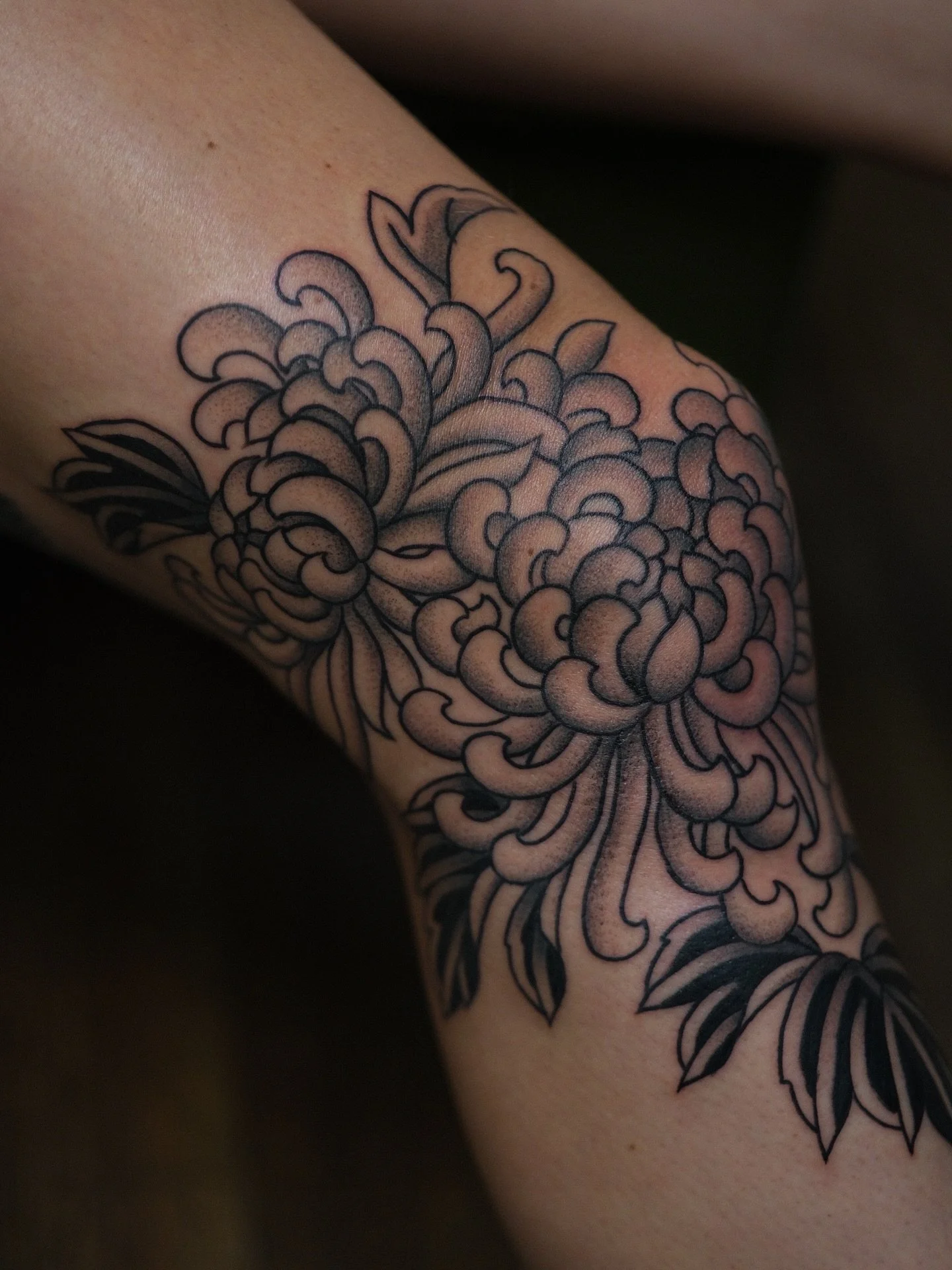 Chrysanthemums on the knee for Alix, thanks mate! ✨🙏 
Bookings available this month, use the link in bio 😊

@chapeltattoo