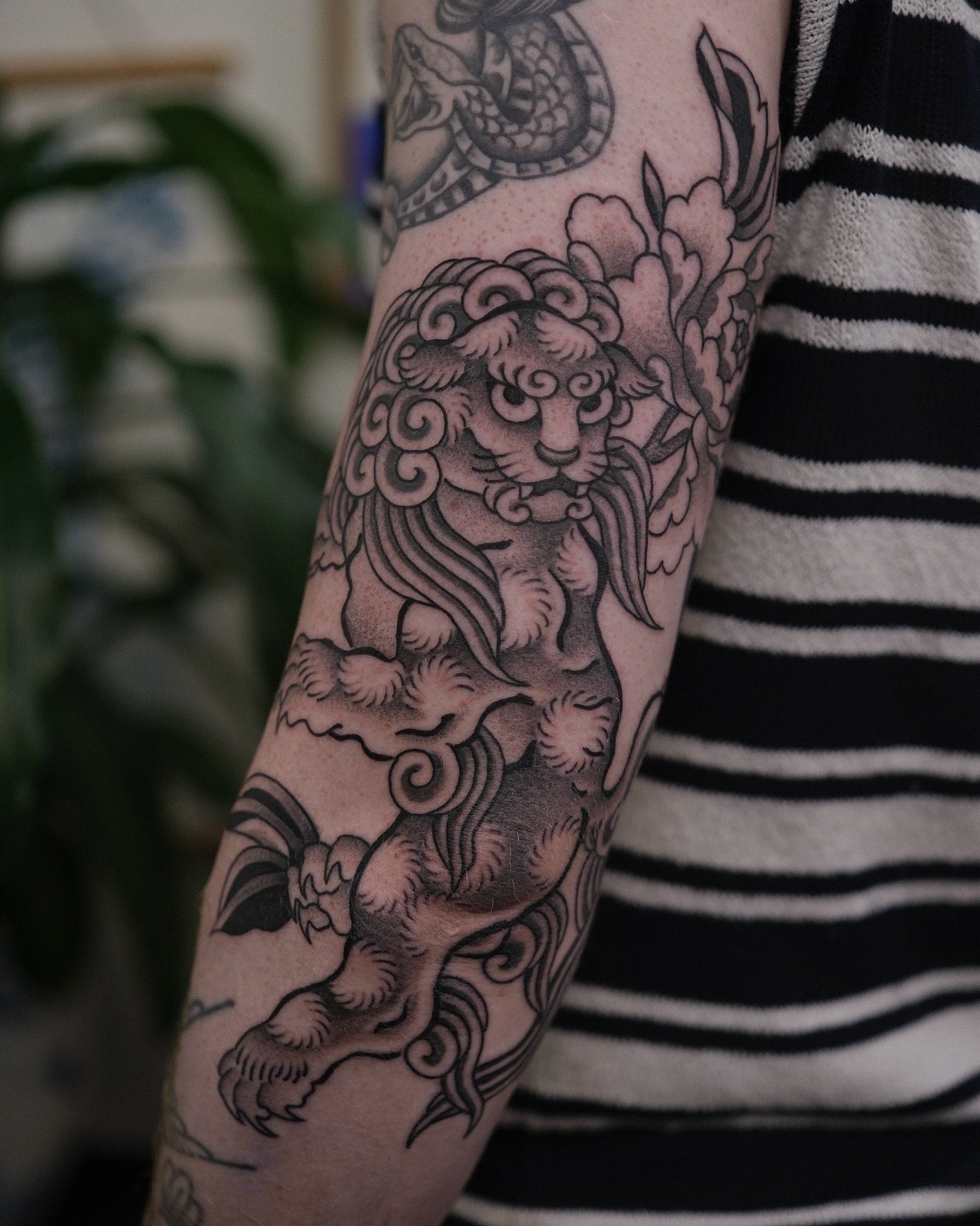 Foo dog and peony for the super talented and super lovely @sutherlandtattoo! ✨Thanks Andre!

Now booking May/June/July (link in bio)

@chapeltattoo