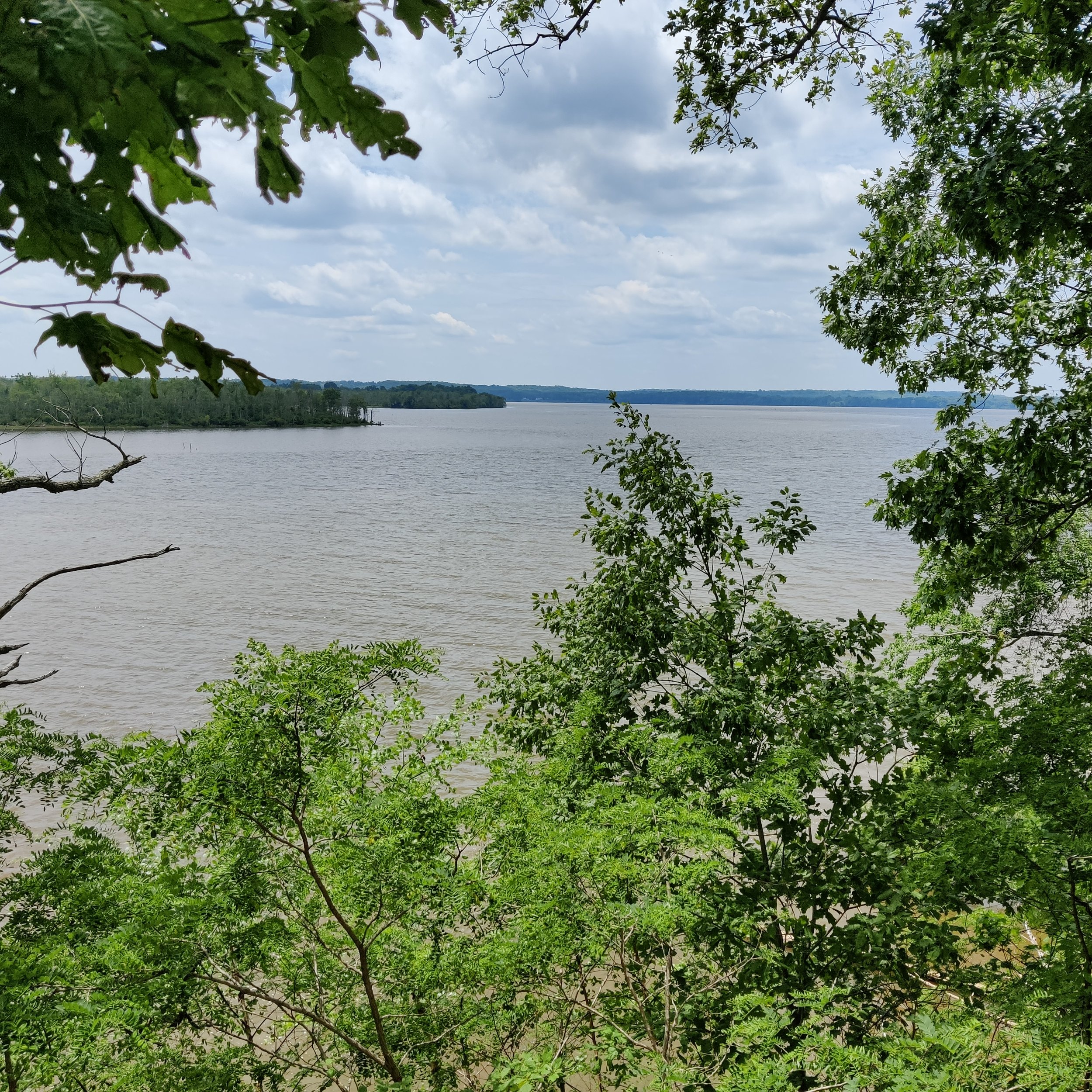 IMG_20230516_131118.jpg