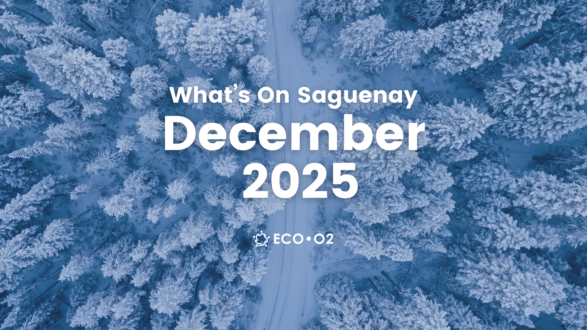 Things To Do in Saguenay: December 2025