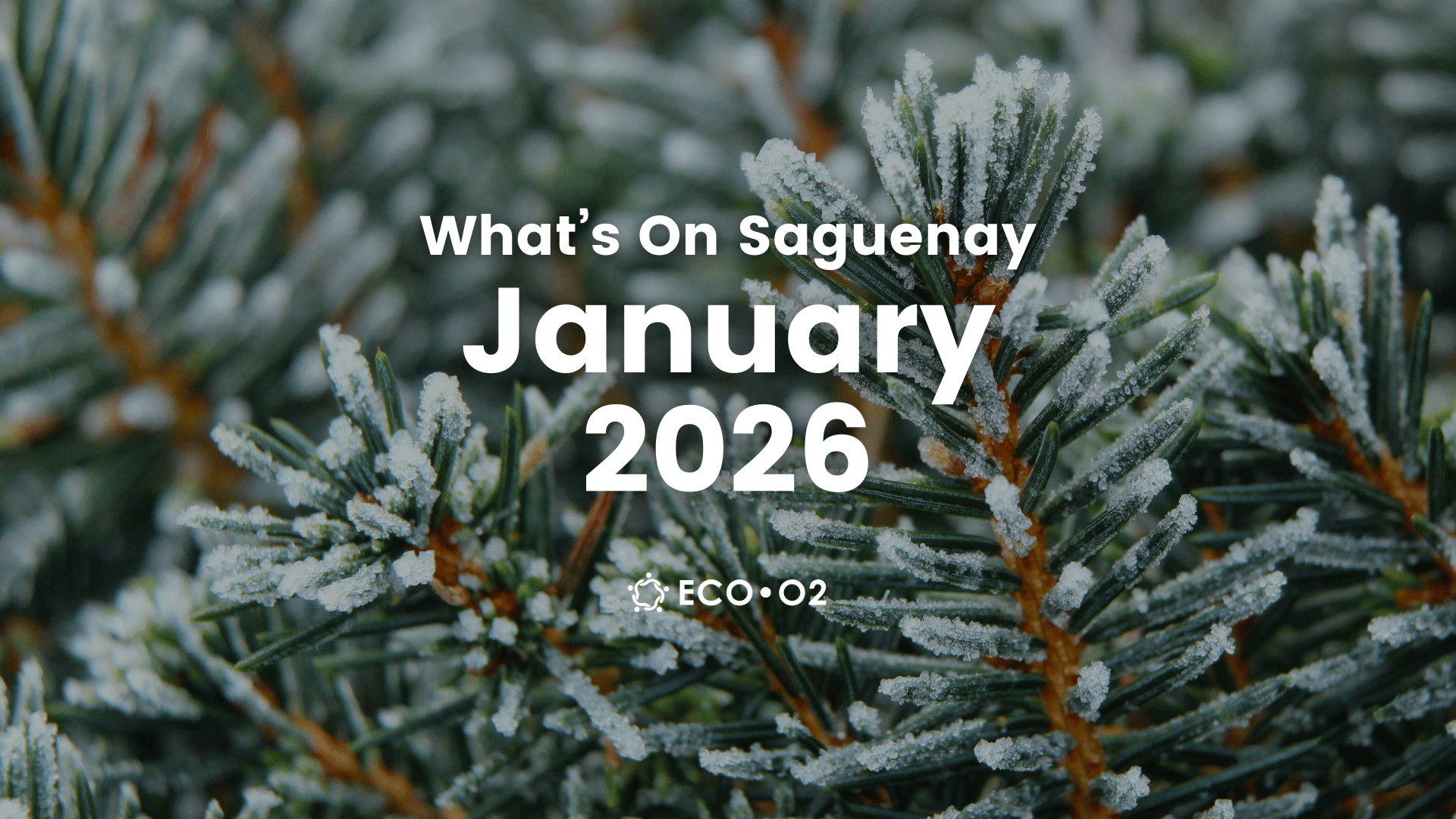 Things To Do in Saguenay: January 2026