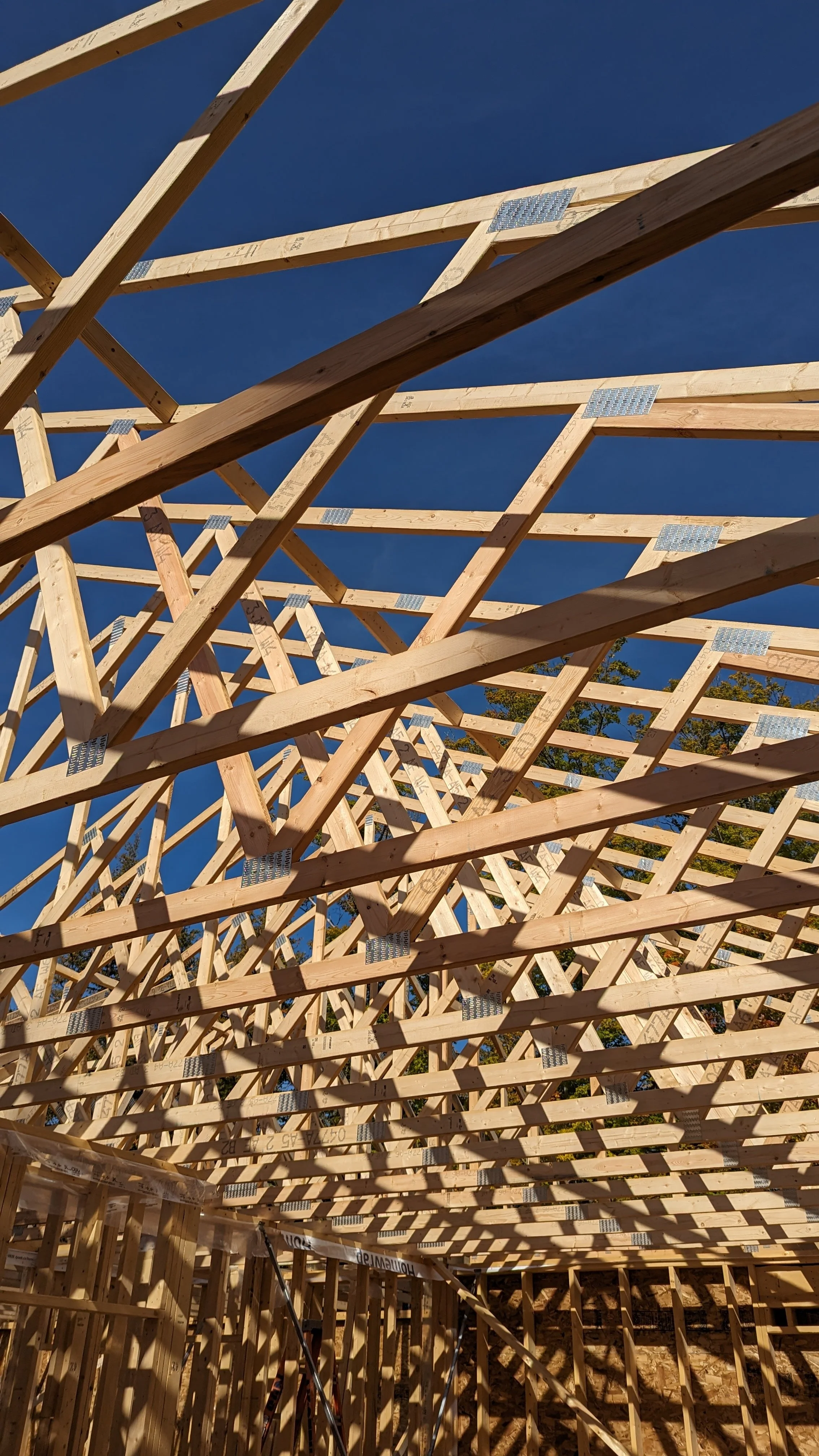 Wooden framing of a building under construction with crisscrossed beams and metal fasteners against a clear blue sky.