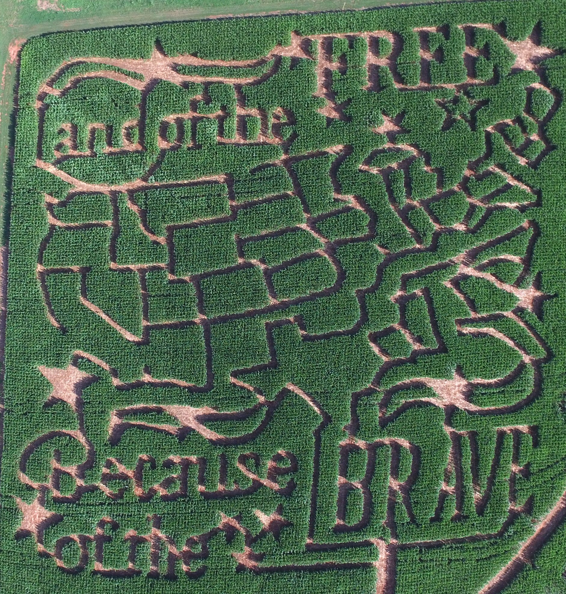 Aerial Maze Photo